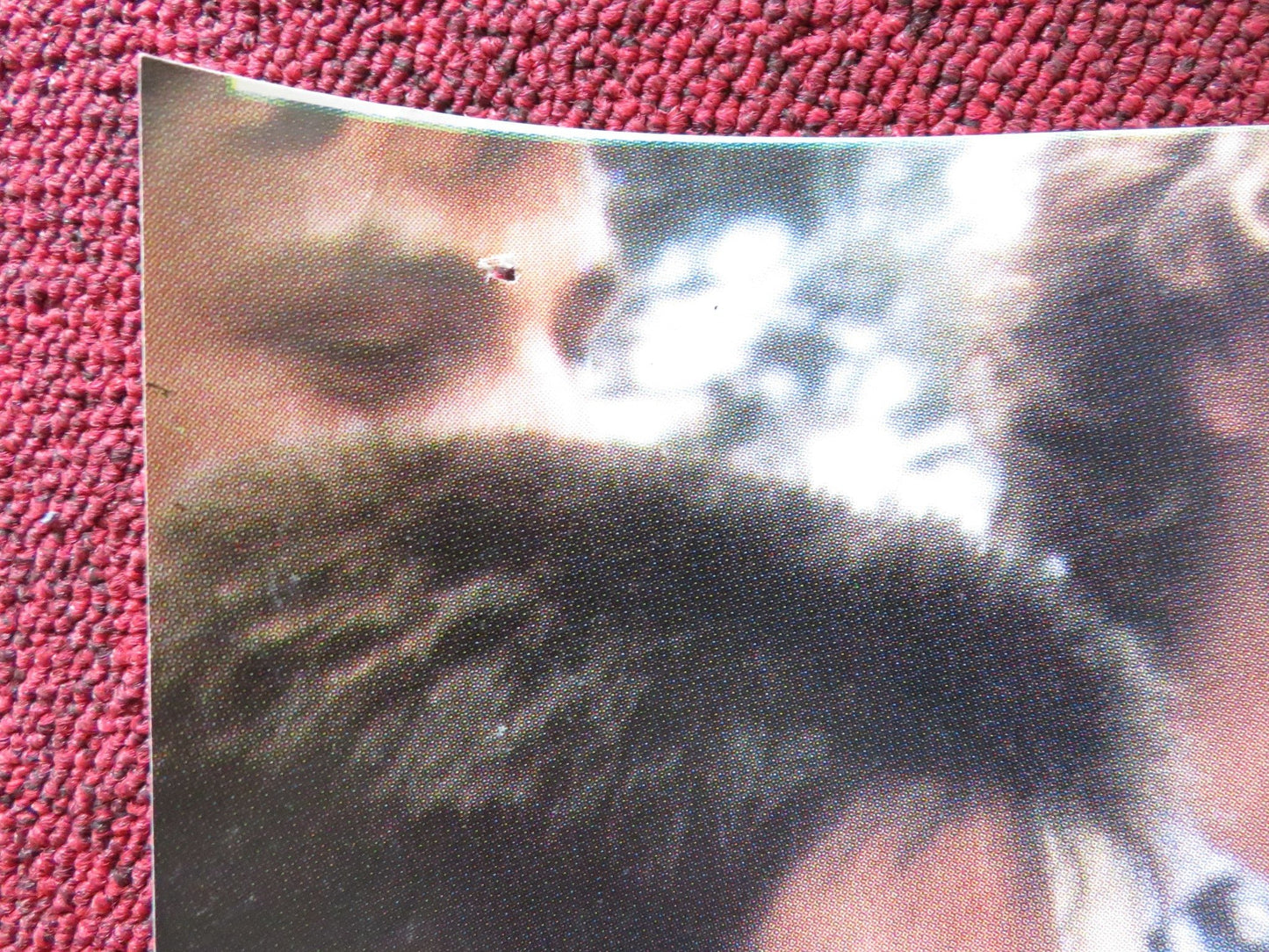 EMMANUELLE 5 - D ITALIAN FOTOBUSTA POSTER MONIQUE GABRIELLE HARDESTER 1987 Rendezvous Cinema Movie posters