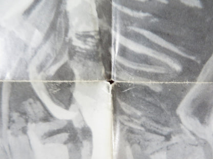 EMPEROR OF THE NORTH - STYLE B FOLDED US ONE SHEET POSTER LEE MARVIN 1973 Rendezvous Cinema Movie posters