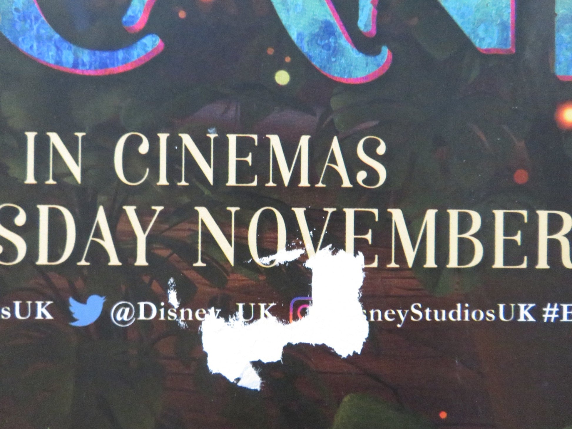 ENCANTO UK QUAD ROLLED POSTER STEPHANIE BEATRIZ JOHN LEGUIZAMO 2021 Rendezvous Cinema Movie posters