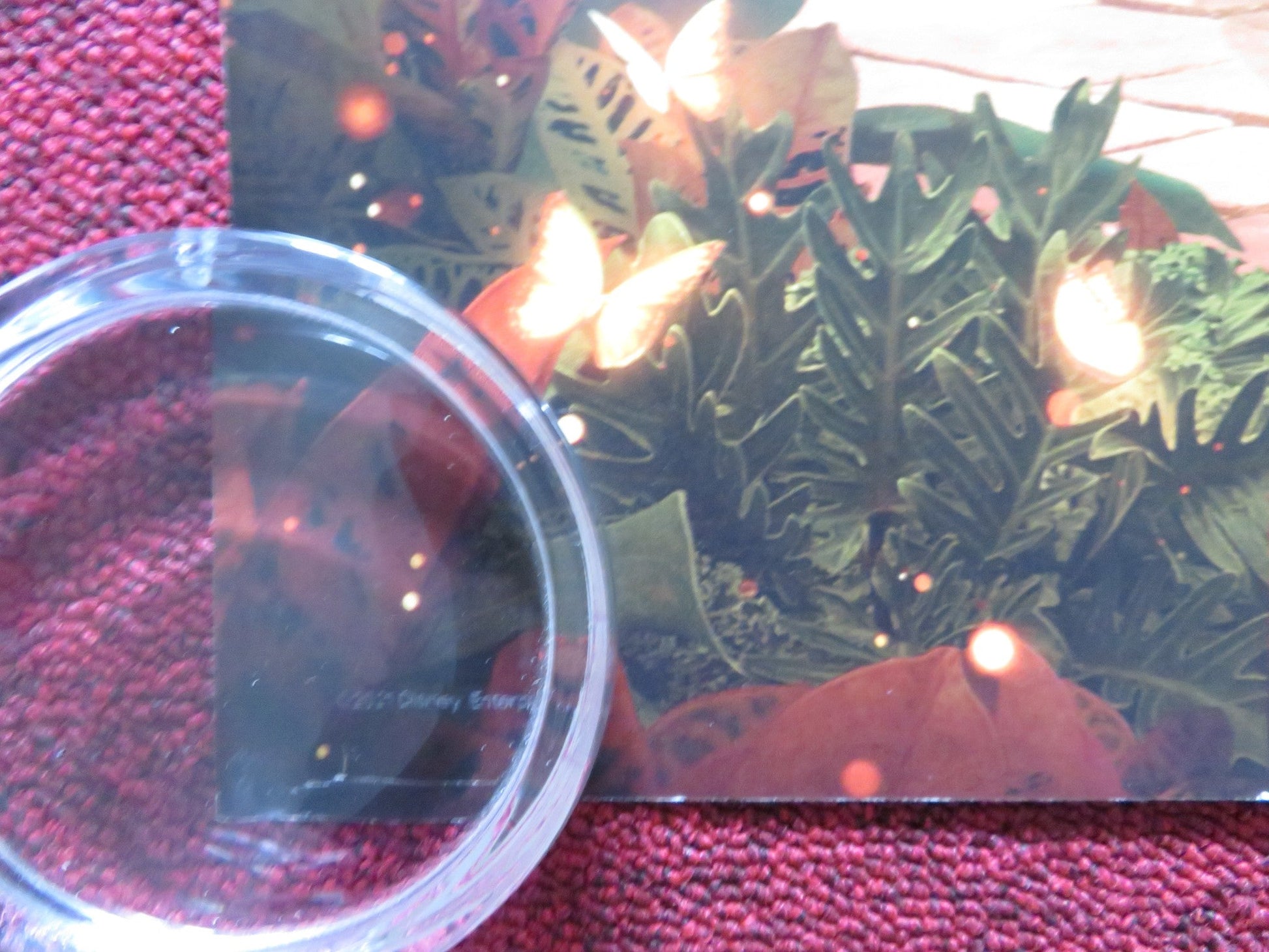 ENCANTO UK QUAD ROLLED POSTER STEPHANIE BEATRIZ JOHN LEGUIZAMO 2021 Rendezvous Cinema Movie posters