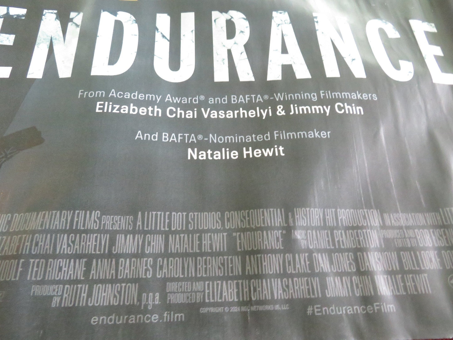 ENDURANCE UK QUAD ROLLED POSTER DAN SNOW N. VINCENT NATIONAL GEOGRAPHIC 2024 - Rendezvous Cinema