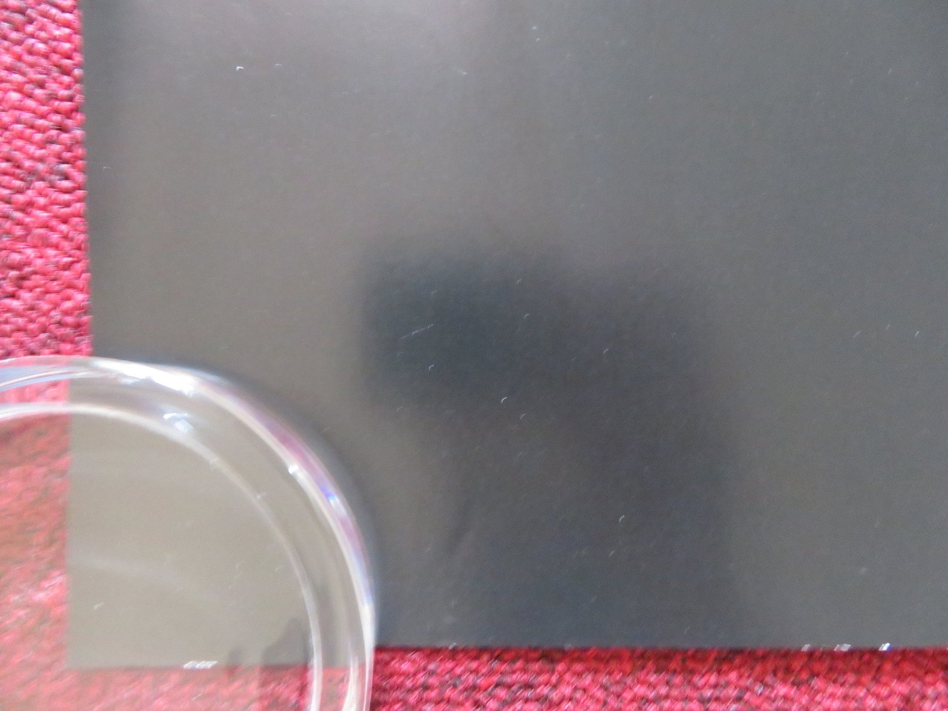 ENTEBBE UK QUAD ROLLED POSTER ROSAMUND PIKE DANIEL BRUHL 2017 Rendezvous Cinema Movie posters