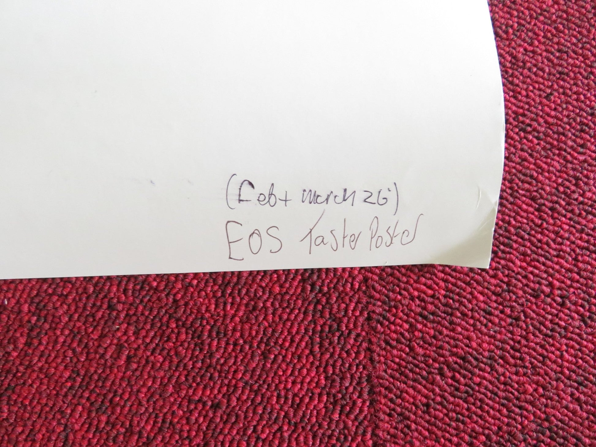 Eos: Caravaggio Turner & Constable Frida Kahlo UK QUAD ROLLED POSTER 2026 Movie posters