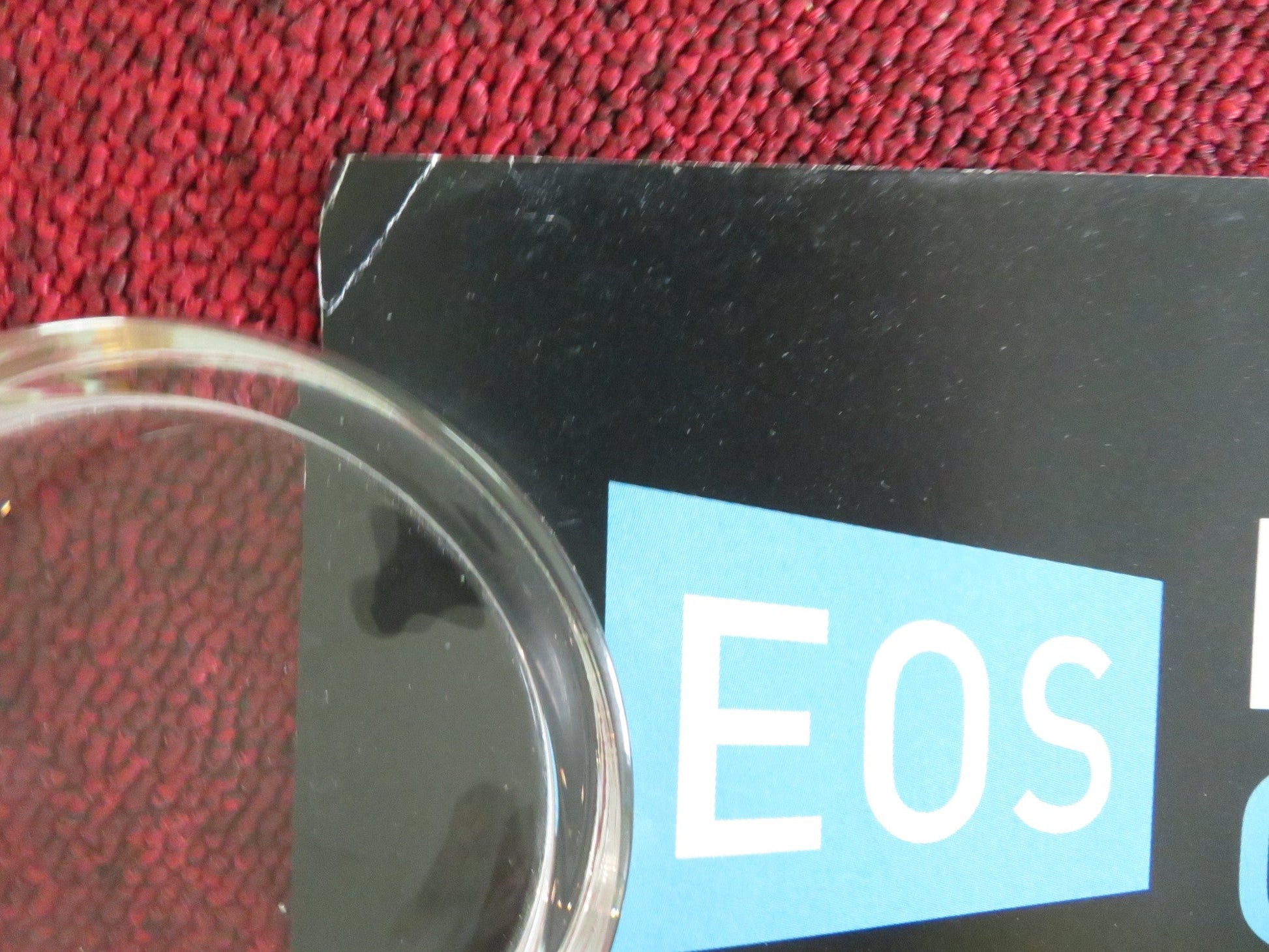 Eos: Caravaggio Turner & Constable Frida Kahlo UK QUAD ROLLED POSTER 2026 Movie posters