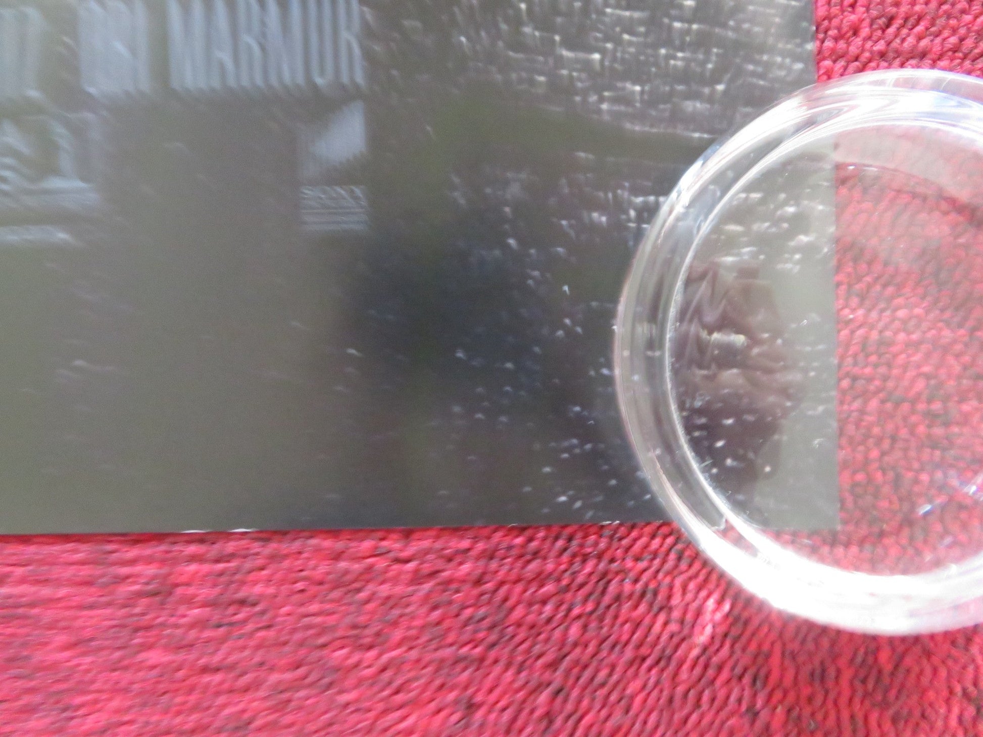 ESCAPE ROOM - B UK QUAD ROLLED POSTER TAYLOR RUSSELL LOGAN MILLER 2019 Rendezvous Cinema Movie posters