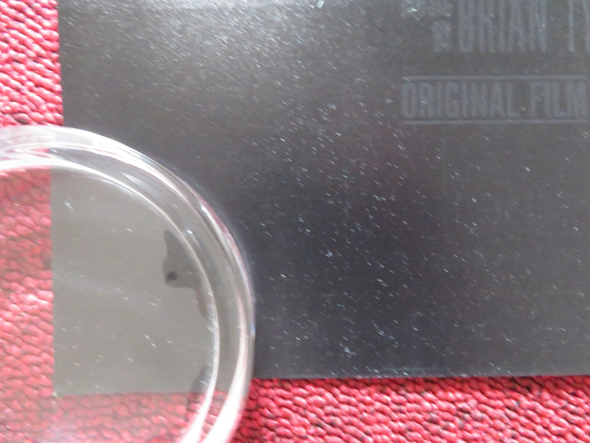 ESCAPE ROOM UK QUAD ROLLED POSTER TAYLOR RUSSELL LOGAN MILLER 2019 Rendezvous Cinema Movie posters