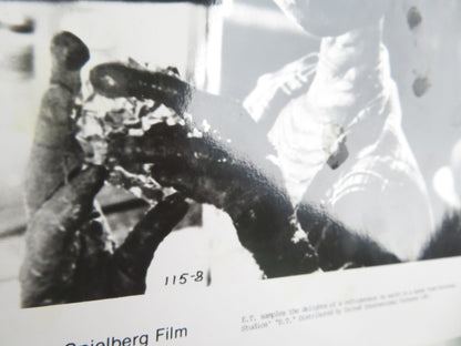 E.T. THE EXTRA - TERRESTRIAL MOVIE STILL PHOTO LOT OF 5 THOMAS BARRYMORE 1982 Movie posters