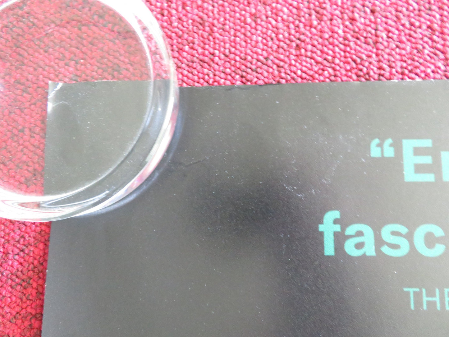 EUREKA - A UK QUAD ROLLED POSTER VIGGO MORTENSEN CHIARA MASTROIANNI 2023 Rendezvous Cinema Movie posters