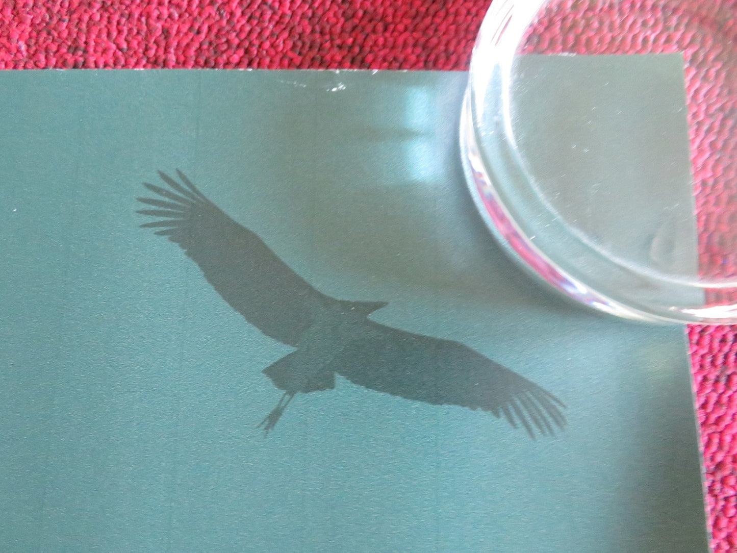 EUREKA - B UK QUAD ROLLED POSTER VIGGO MORTENSEN CHIARA MASTROIANNI 2023 Rendezvous Cinema Movie posters