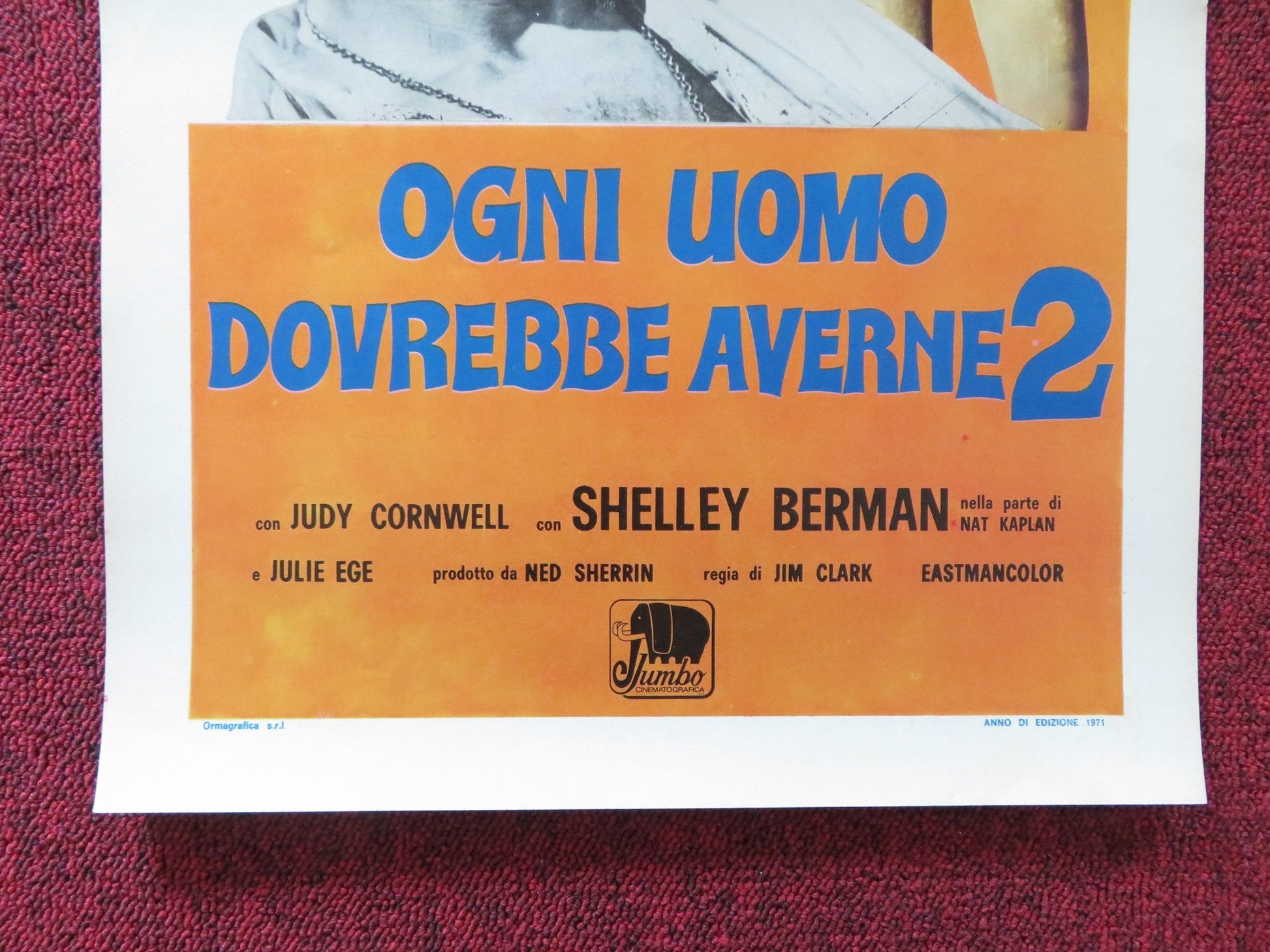 EVERY HOME SHOULD HAVE ONE ITALIAN LOCANDINA POSTER MARTY FELDMAN CORNWELL 1971 Rendezvous Cinema Movie posters