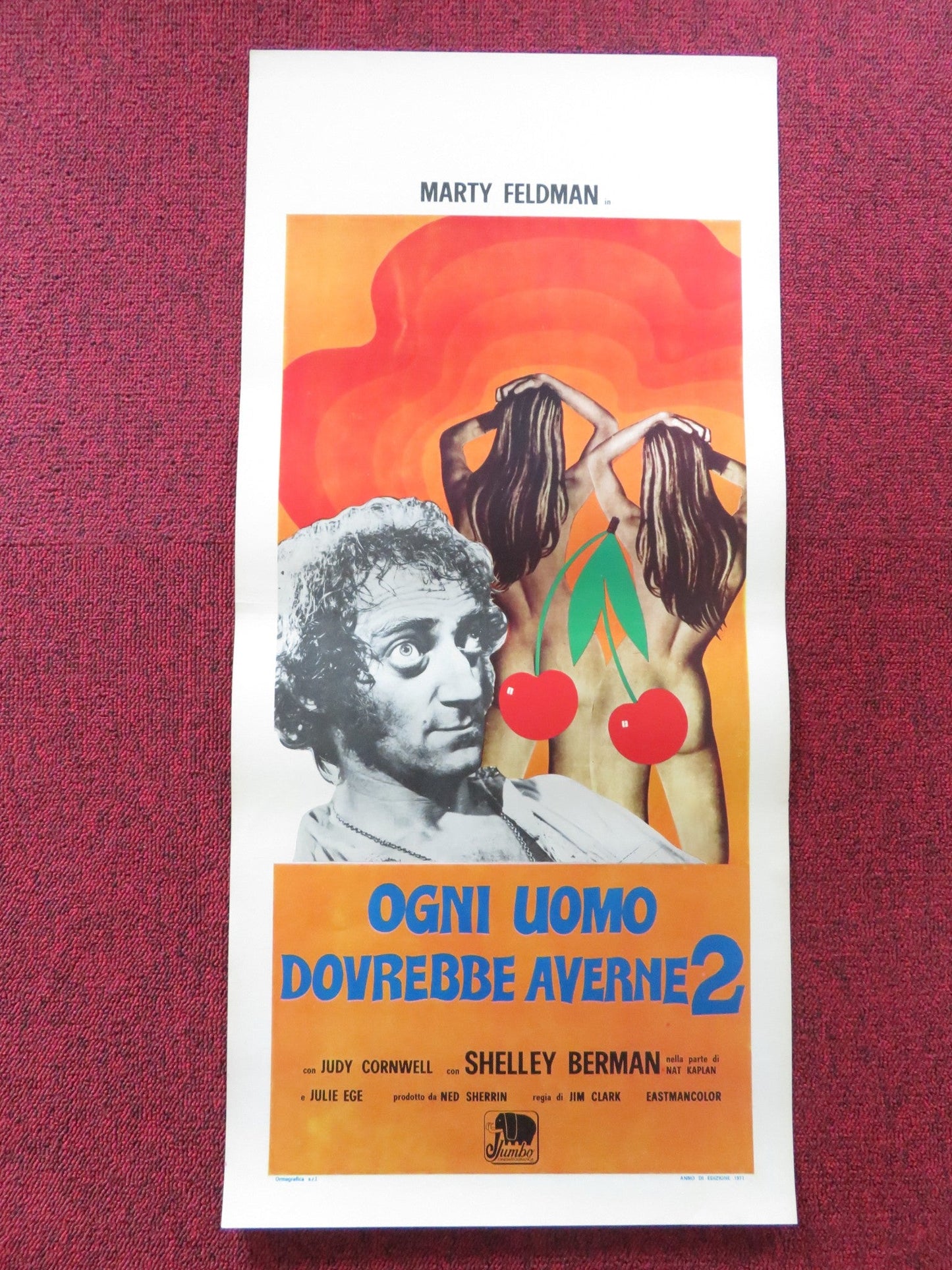 EVERY HOME SHOULD HAVE ONE ITALIAN LOCANDINA POSTER MARTY FELDMAN CORNWELL 1971 Rendezvous Cinema Movie posters
