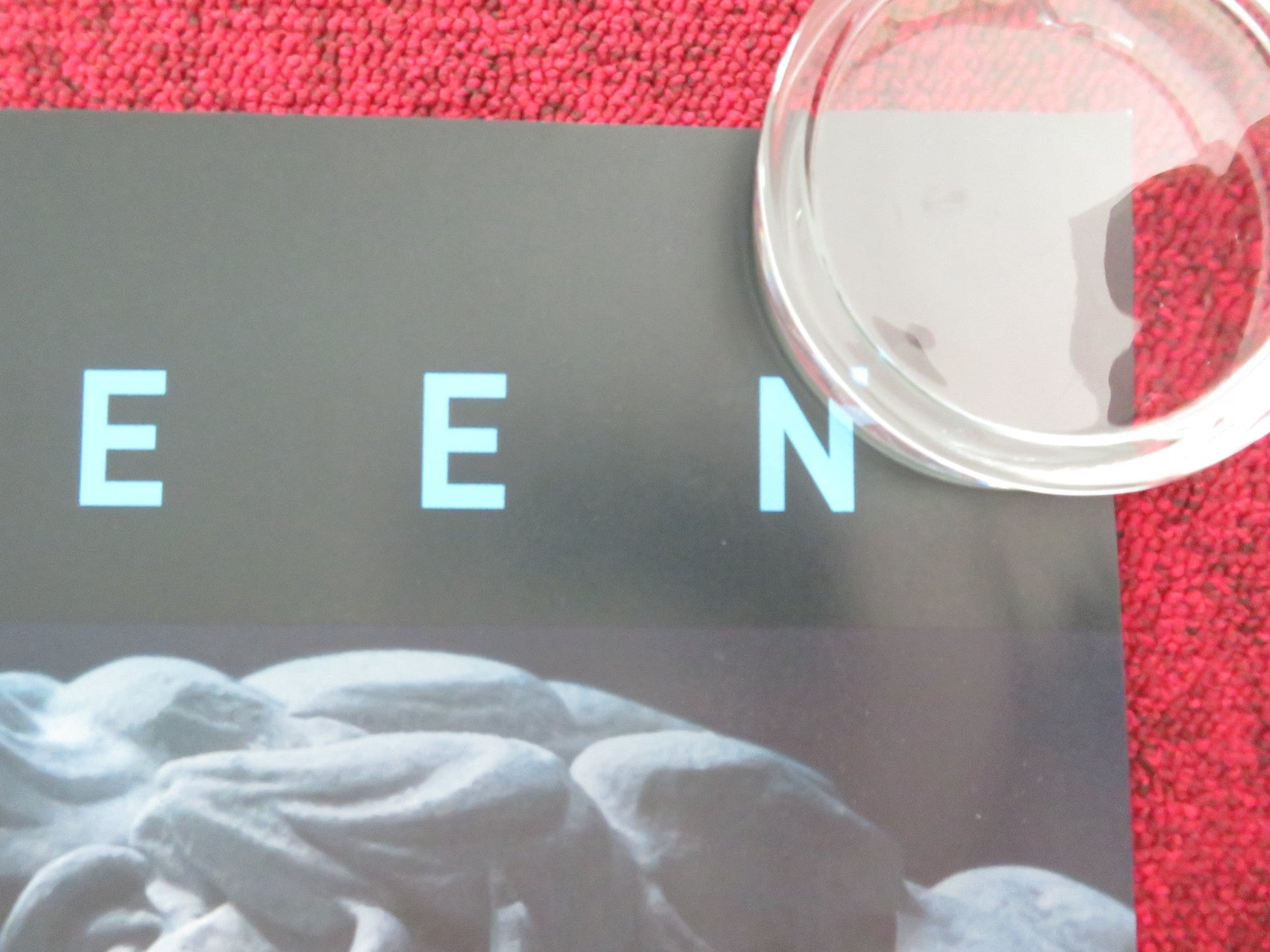 EXHIBITION ON SCREEN CINEMA SEASON 2024/2025 UK QUAD ROLLED POSTER VAN GOGH 2024 Movie posters