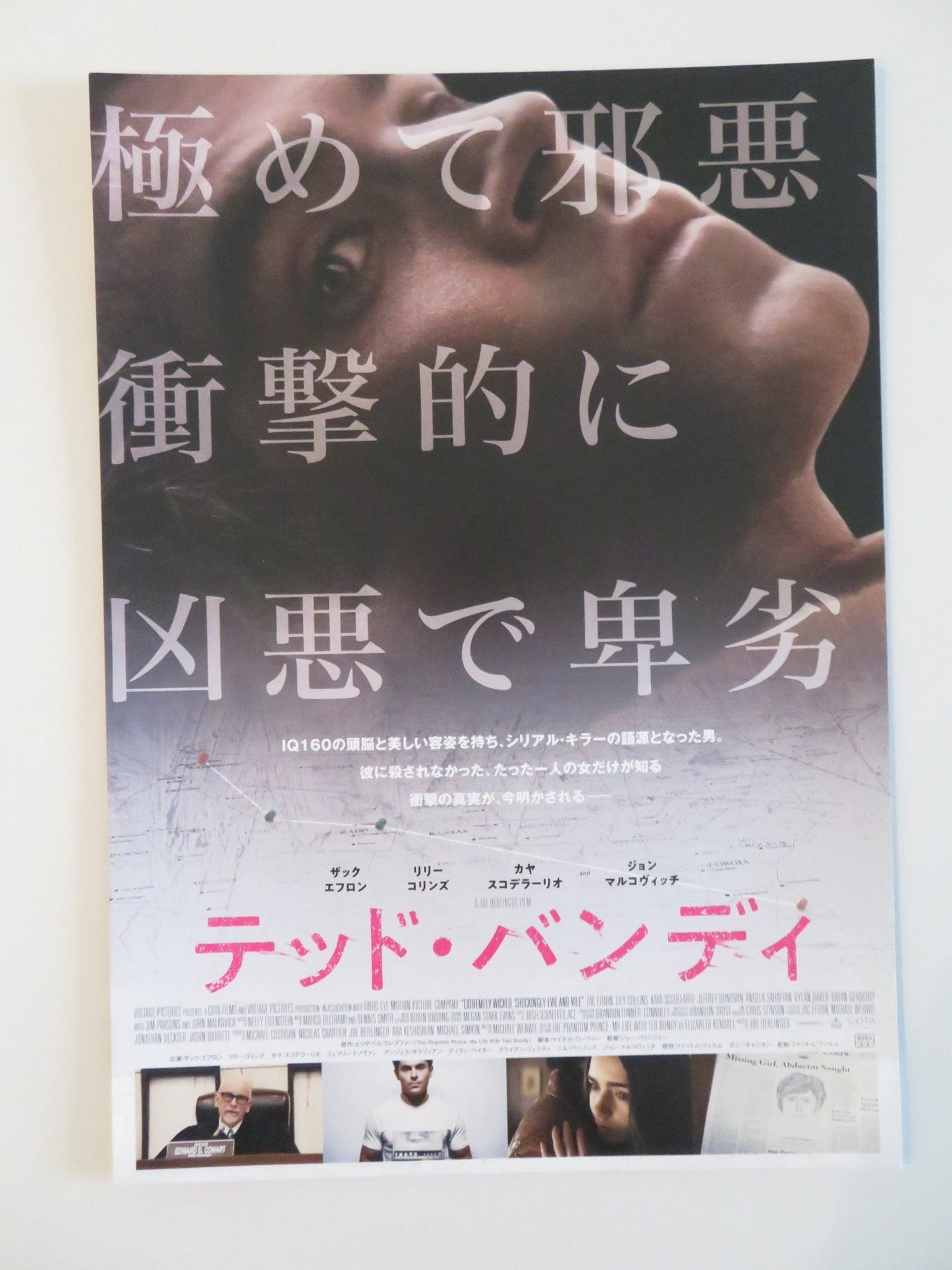 EXTREMELY WICKED, SHOCKINGLY EVIL AND VILE JAPANESE CHIRASHI (B5) POSTER 2019 Rendezvous Cinema Movie posters