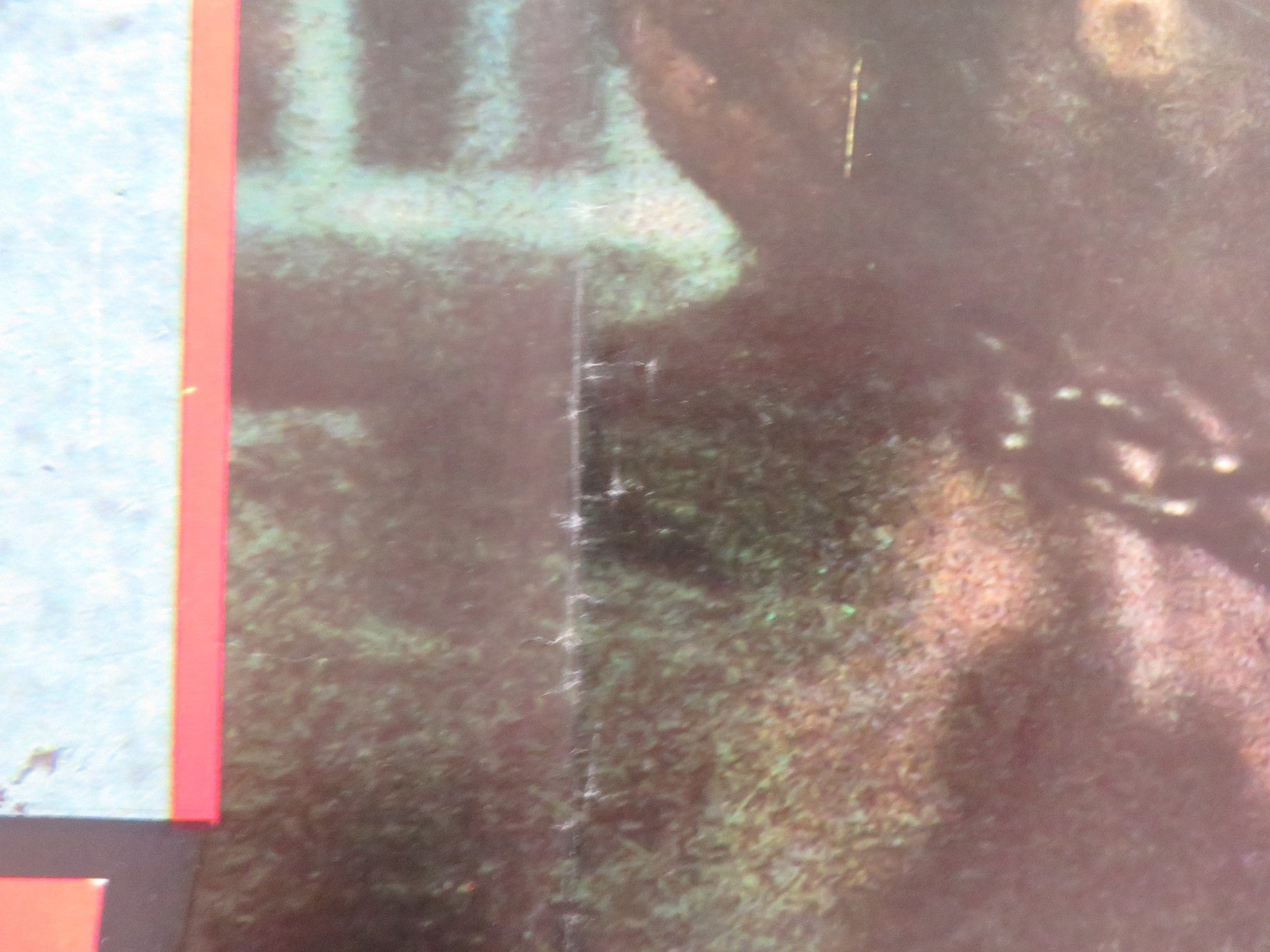 FACES OF DEATH II - B ITALIAN FOTOBUSTA POSTER MICHAEL CARR JAMES BRADY 1981 Rendezvous Cinema Movie posters