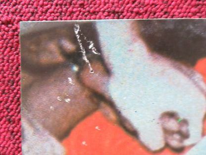 FACES OF DEATH II - B ITALIAN FOTOBUSTA POSTER MICHAEL CARR JAMES BRADY 1981 Rendezvous Cinema Movie posters