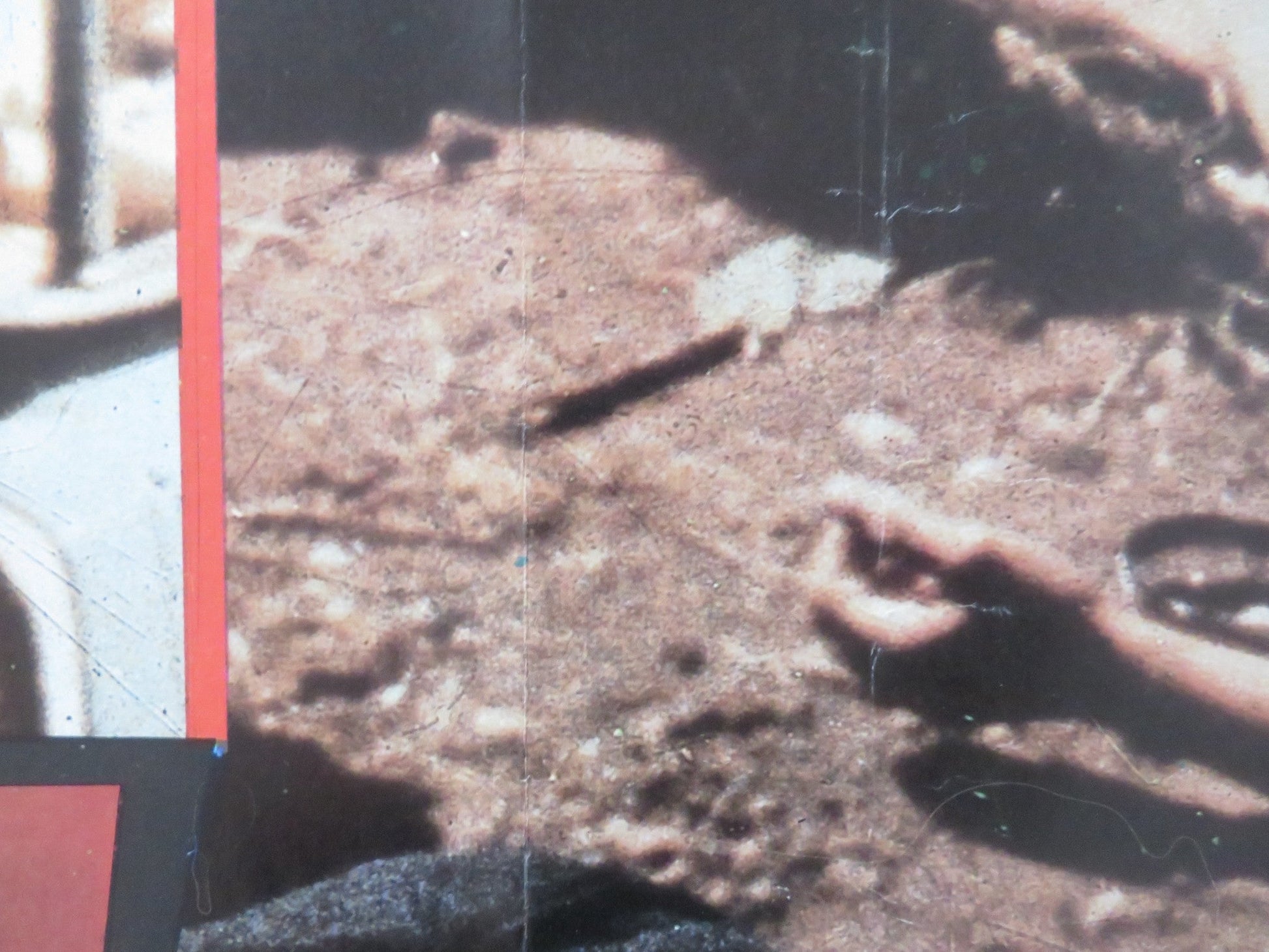 FACES OF DEATH II - C ITALIAN FOTOBUSTA POSTER MICHAEL CARR JAMES BRADY 1981 Rendezvous Cinema Movie posters