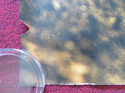 FALL GUY - B UK QUAD ROLLED POSTER RYAN GOSLING EMILY BLUNT 2024 Rendezvous Cinema Movie posters