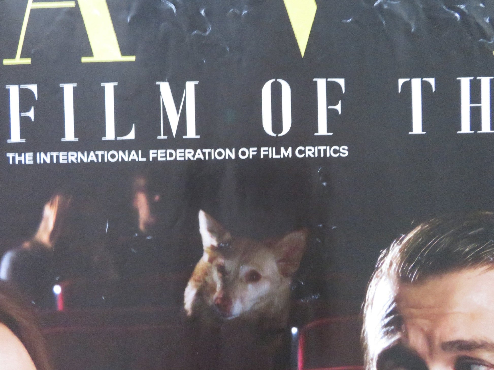 FALLEN LEAVES UK QUAD ROLLED POSTER ALMA POYSTI JUSSI VATANEN 2023 Rendezvous Cinema Movie posters