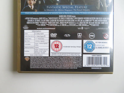 FANTASTIC BEASTS - THE CRIMES OF GRINDELWALD (DVD) EDDIE REDMAYNE 2018 REGION 2 - Rendezvous Cinema