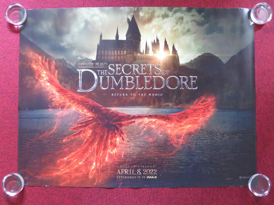 FANTASTIC BEASTS: THE SECRETS OF DUMBLEDORE UK QUAD ROLLED POSTER JUDE LAW 2022 Rendezvous Cinema Movie posters