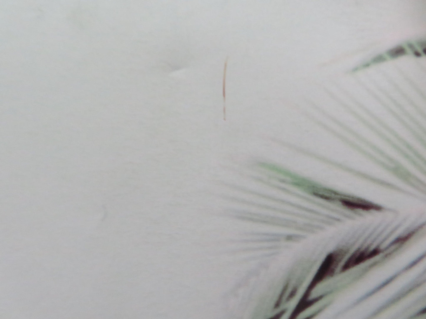 FAST & FURIOUS 5: RIO HEIST UK QUAD ROLLED POSTER VIN DIESEL PAUL WALKER 2011 Movie posters