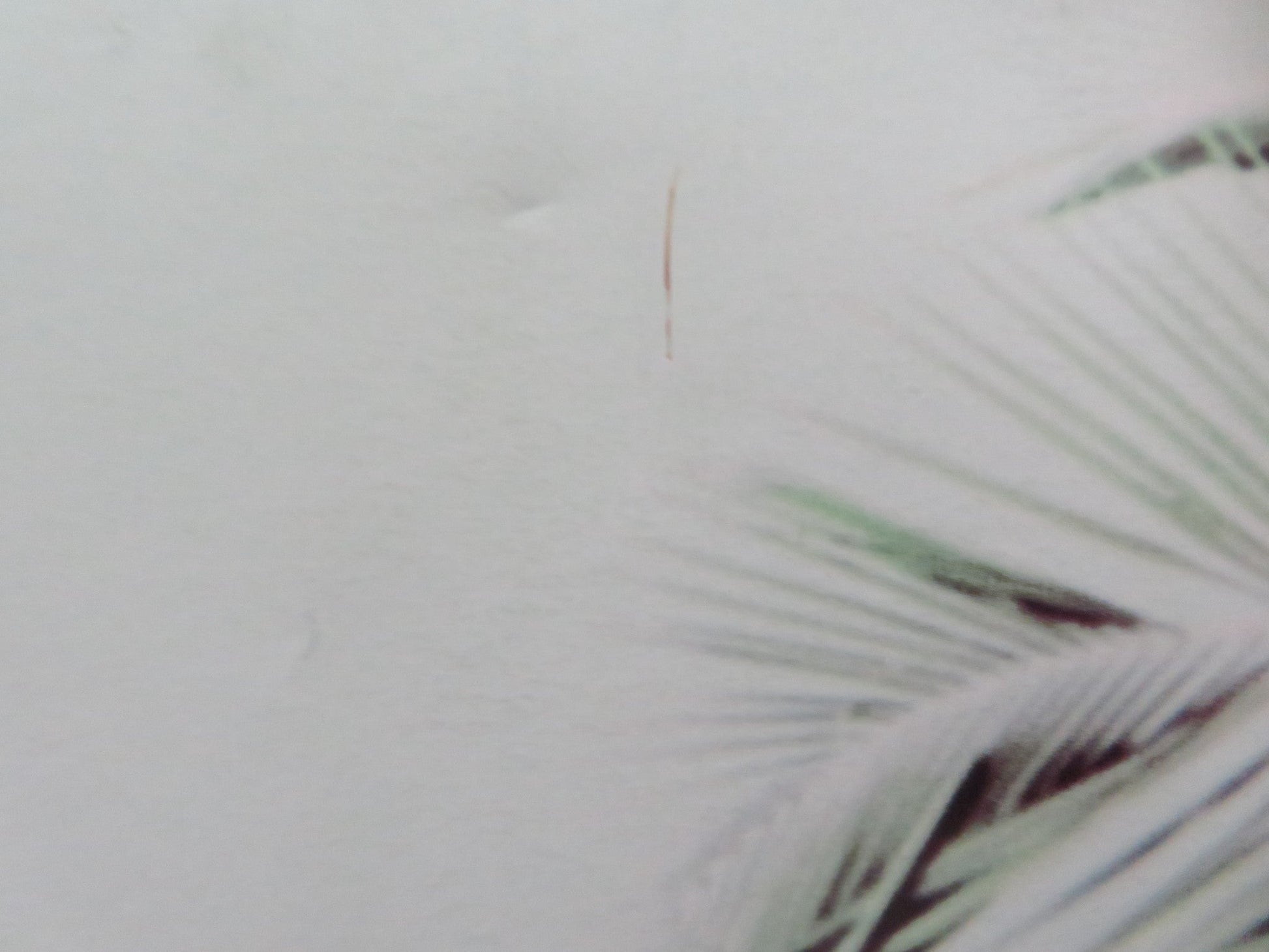 FAST & FURIOUS 5: RIO HEIST UK QUAD ROLLED POSTER VIN DIESEL PAUL WALKER 2011 Movie posters