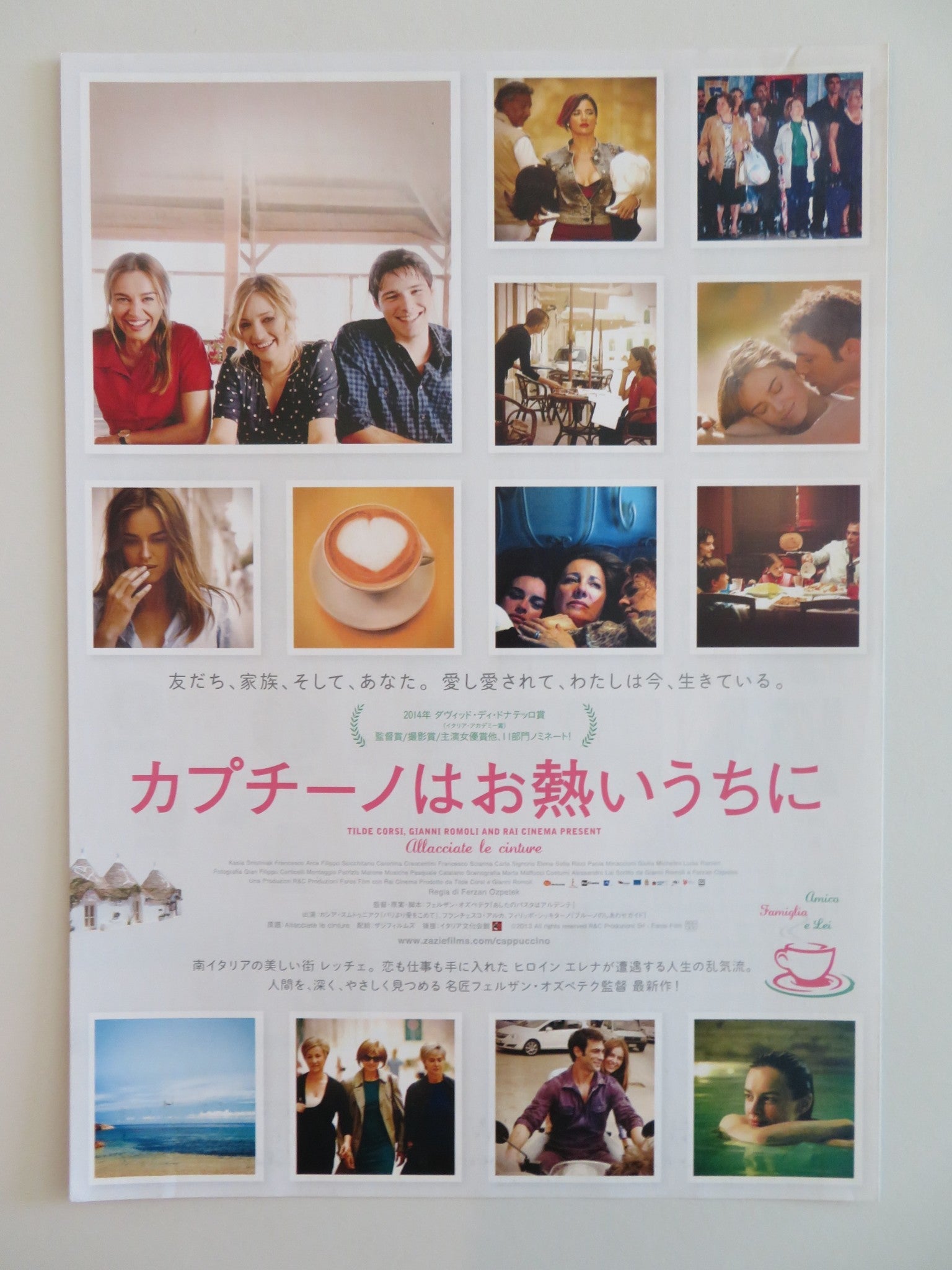 FASTEN YOUR SEATBELTS JAPANESE CHIRASHI (B5) POSTER KASIA SMUTNIAK 2014 Rendezvous Cinema Movie posters