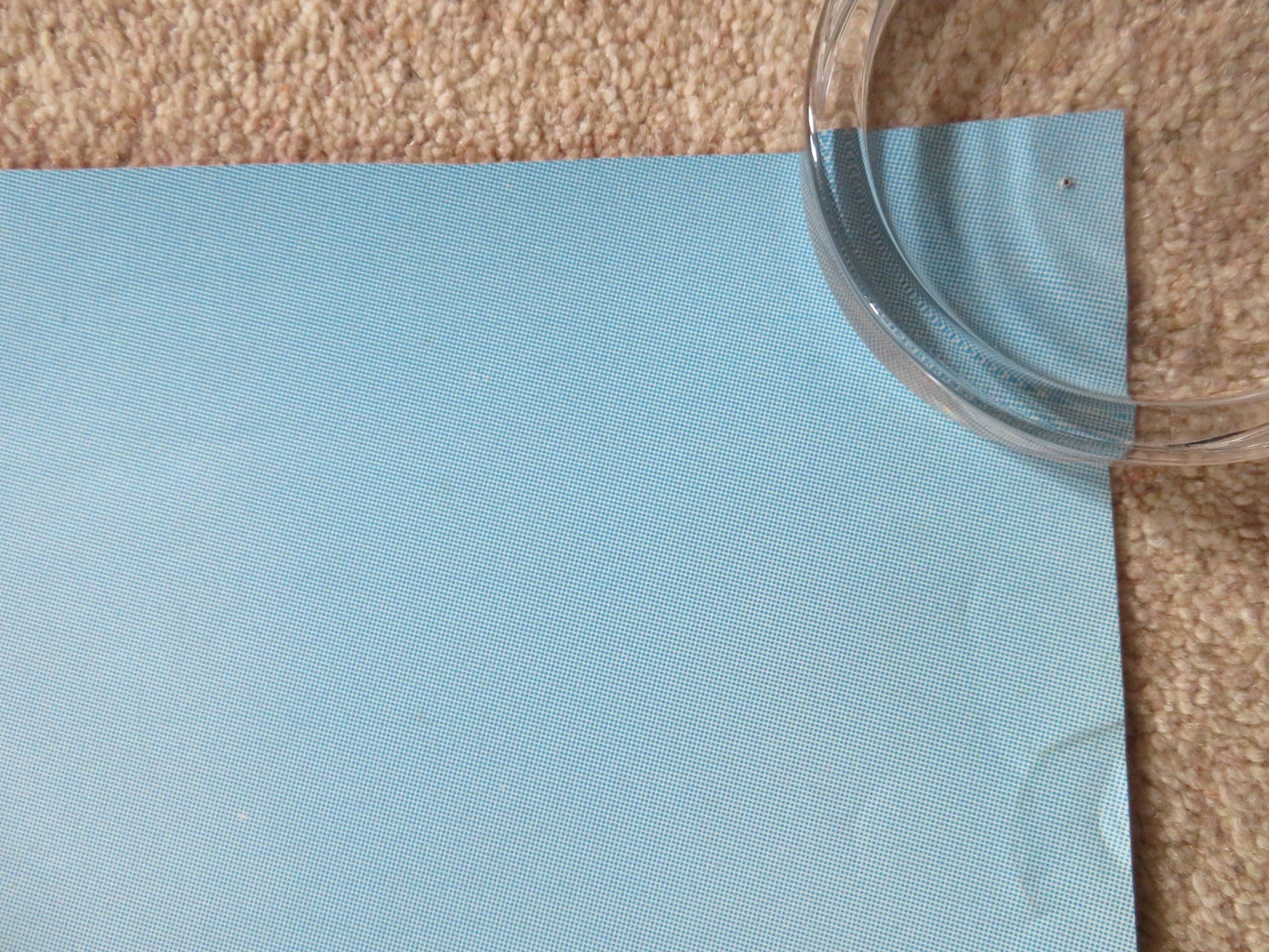 FATHER OF THE BRIDE PART II - DOUBLE IMAGE DOOR PANEL POSTER ROLLED 1995 Rendezvous Cinema Movie posters