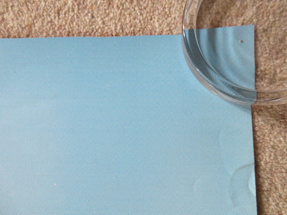 FATHER OF THE BRIDE PART II - DOUBLE IMAGE DOOR PANEL POSTER ROLLED 1995 Rendezvous Cinema Movie posters