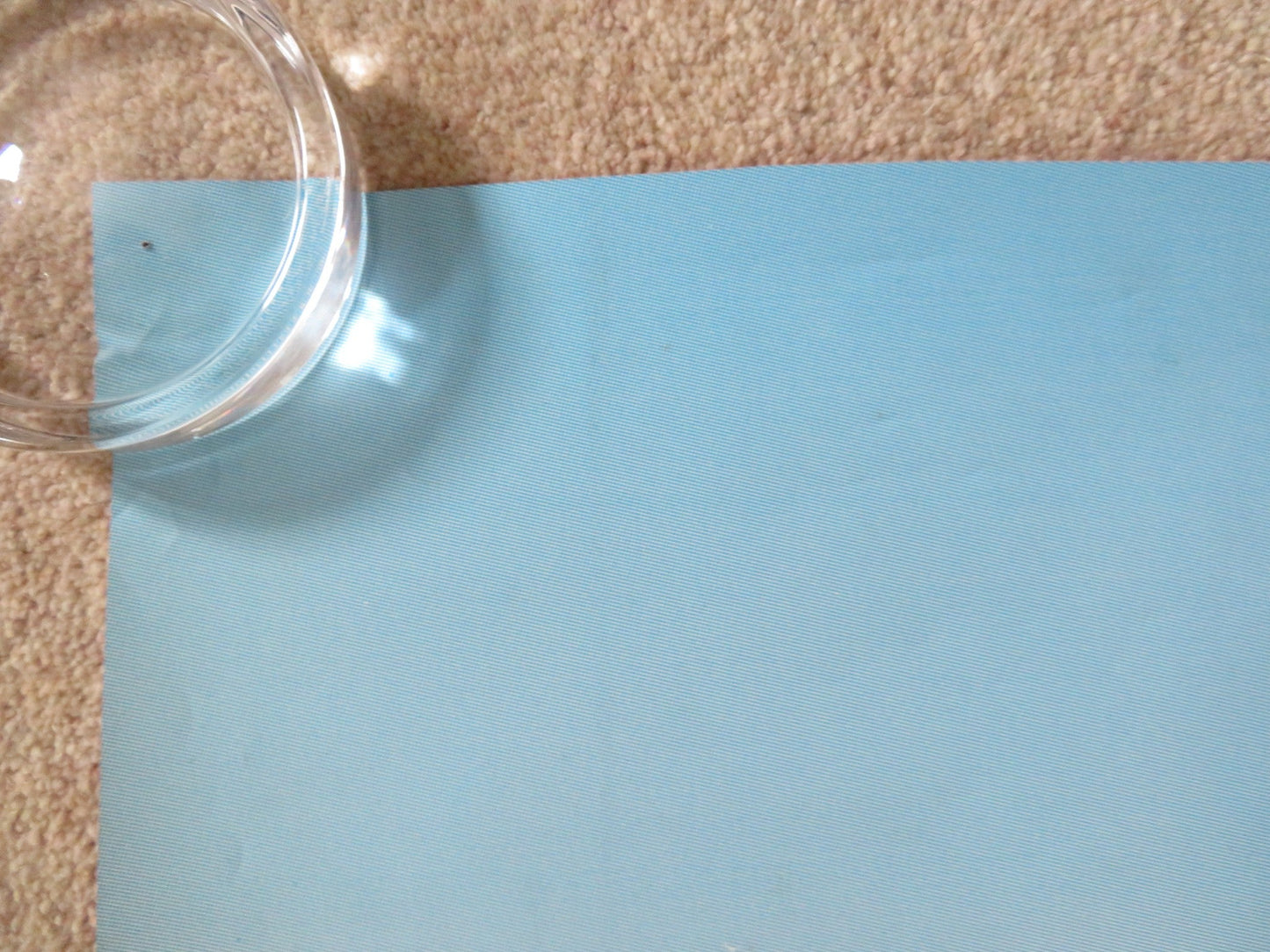 FATHER OF THE BRIDE PART II - DOUBLE IMAGE DOOR PANEL POSTER ROLLED 1995 Rendezvous Cinema Movie posters