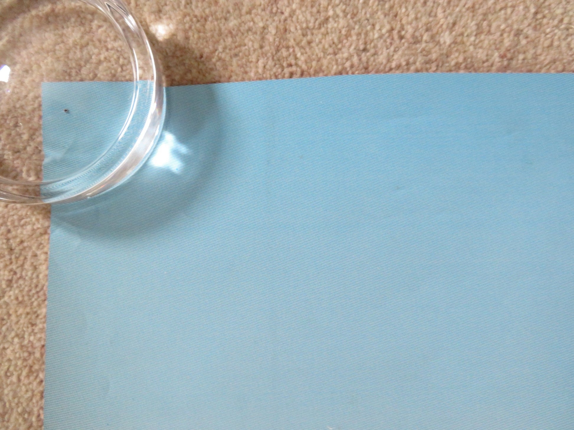 FATHER OF THE BRIDE PART II - DOUBLE IMAGE DOOR PANEL POSTER ROLLED 1995 Rendezvous Cinema Movie posters