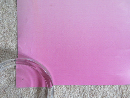 FATHER OF THE BRIDE PART II - DOUBLE IMAGE DOOR PANEL POSTER ROLLED 1995 Rendezvous Cinema Movie posters