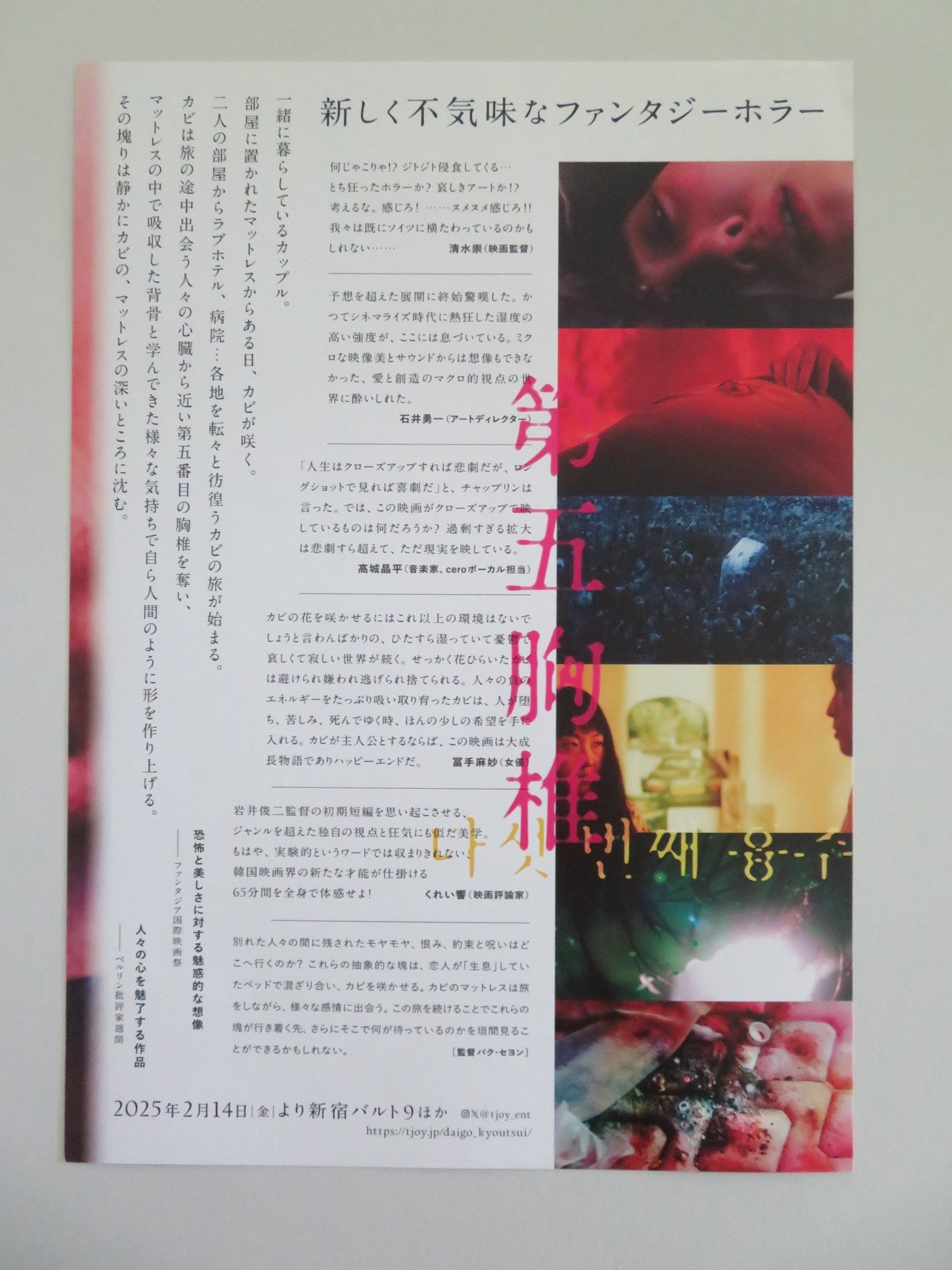 FIFTH THORCIC VERTEBRA JAPANESE CHIRASHI (B5) POSTER SYEYOUNG PARK 2022 Movie posters