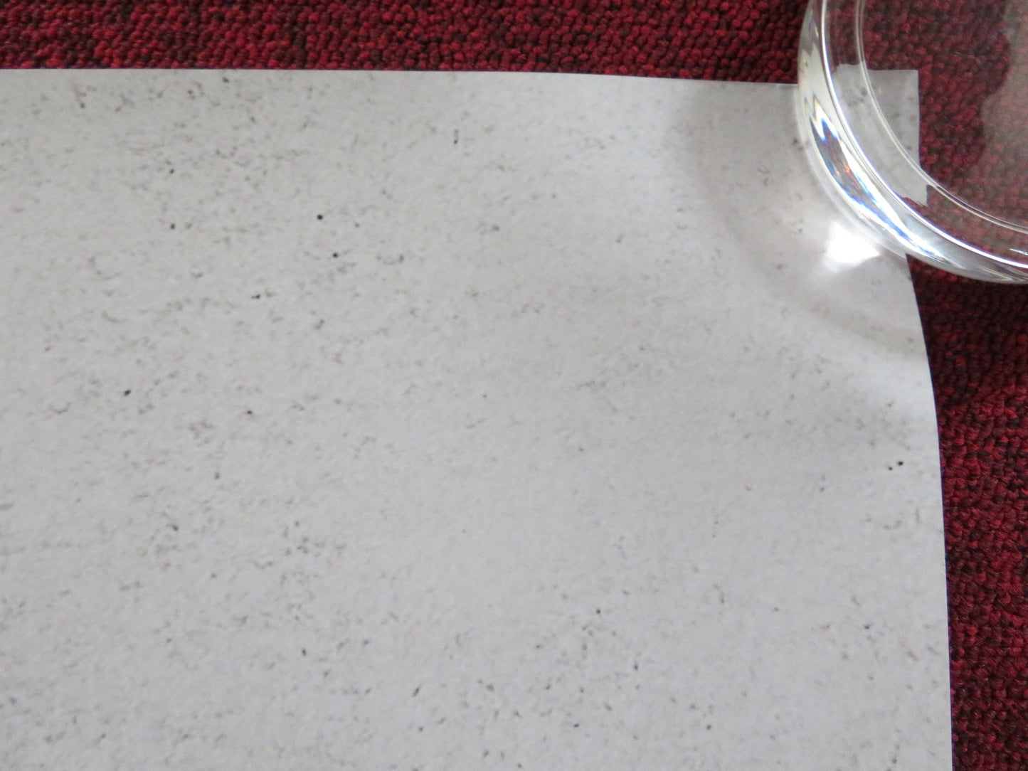 FIGHTING WITH MY FAMILY UK QUAD ROLLED POSTER NICK FROST LENA HEADEY 2019 Rendezvous Cinema Movie posters