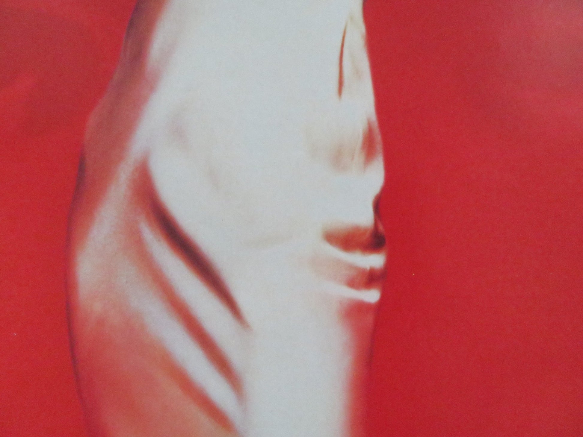 FIRES WITHIN VHS VIDEO POSTER JIMMY SMITS GRETA SCACCHI 1991 Rendezvous Cinema Movie posters