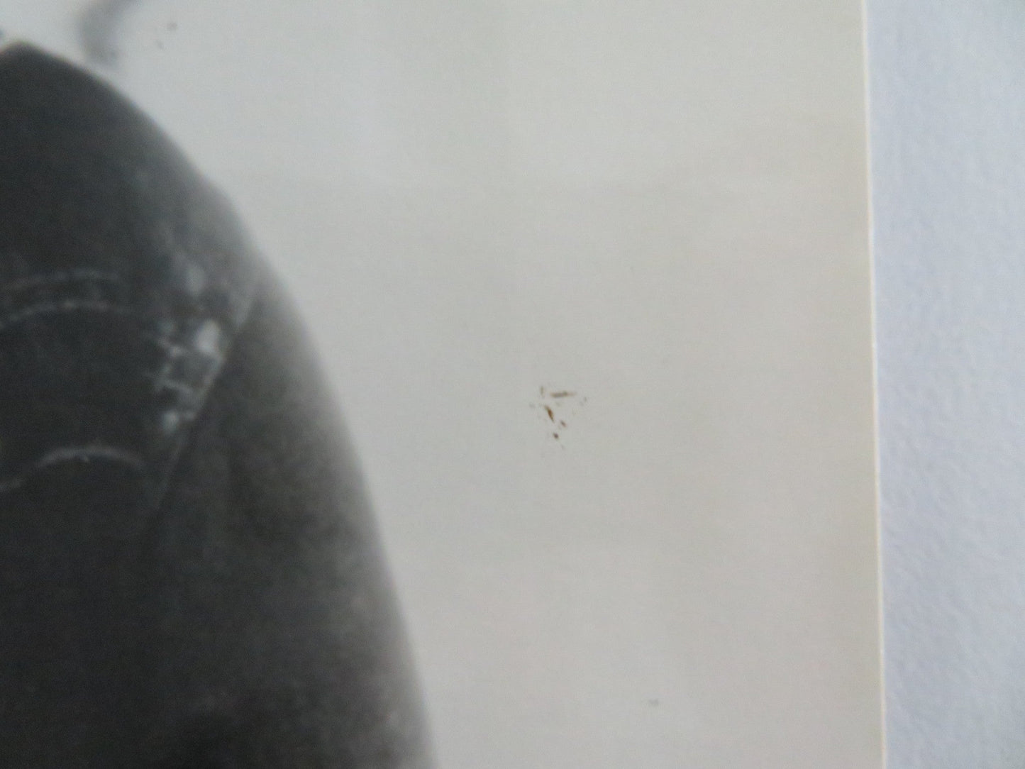 FIRESTARTER MOVIE STILL PHOTO LOT OF 2 DREW BARRYMORE HEATHER LOCKLEAR 1984 Movie posters