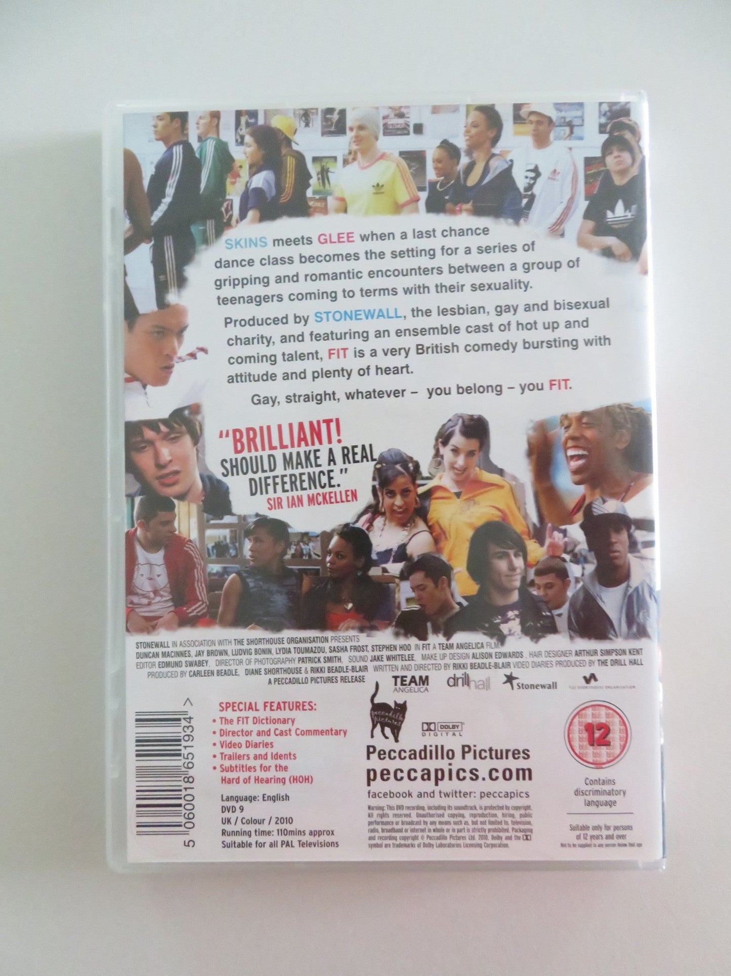 FIT (DVD) SASHA FROST JAY BROWN ALEXIS GREGORY 2010 REGION 2 Movie posters