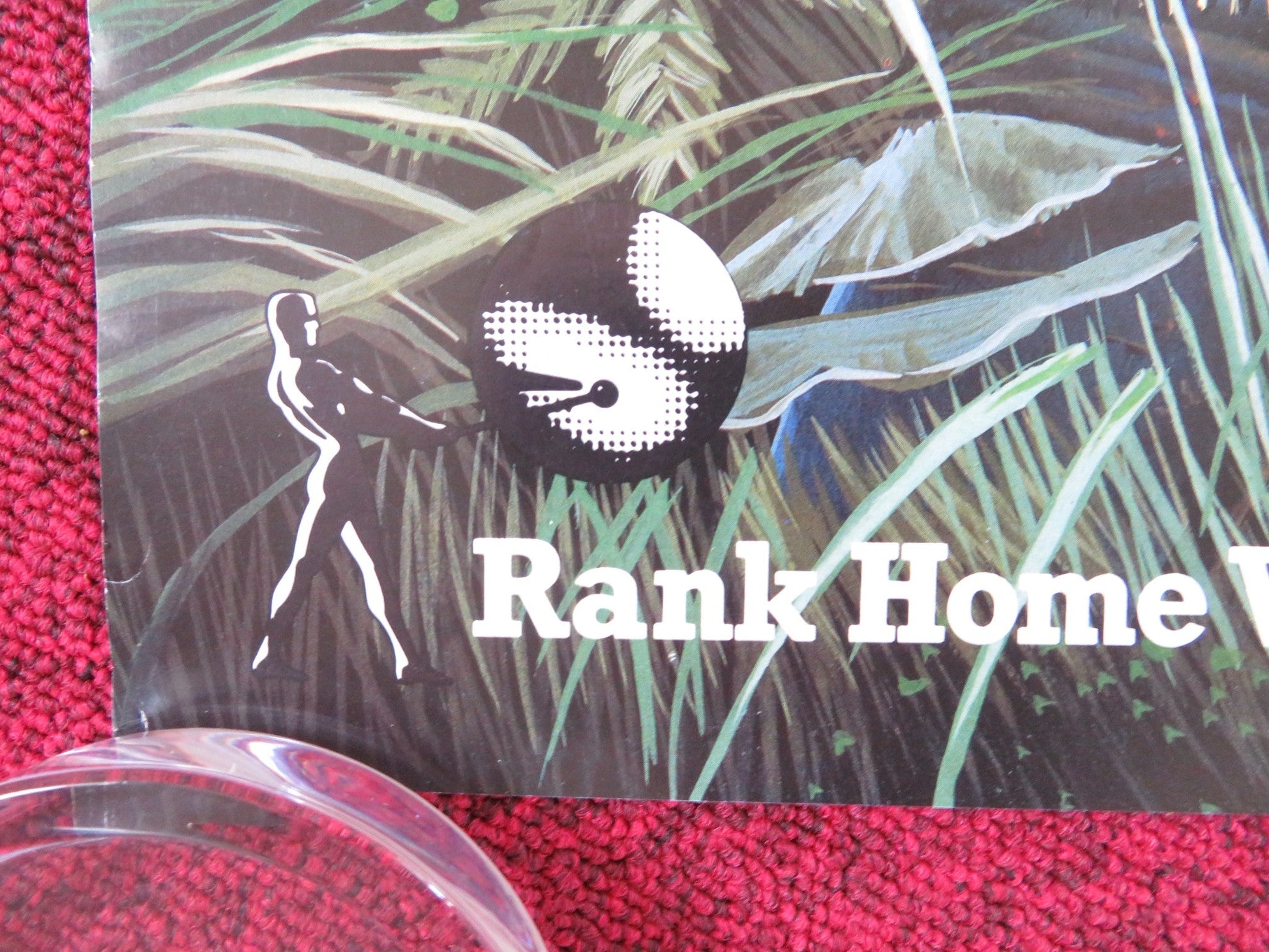 FLORIDA STRAITS VHS VIDEO POSTER ROLLED RAUL JULIA FRED WARD 1986 Rendezvous Cinema Movie posters