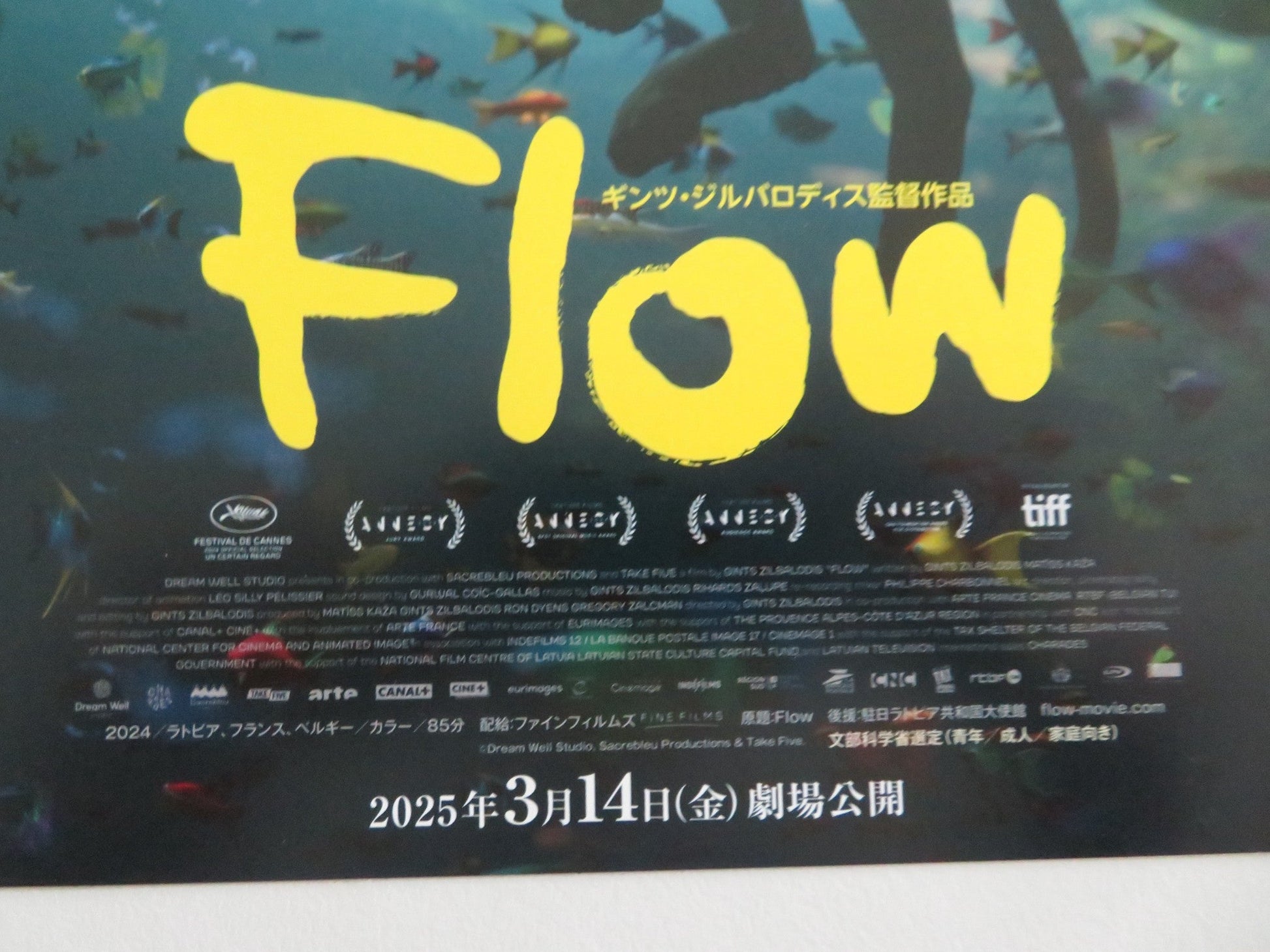 FLOW - A JAPANESE CHIRASHI (B5) POSTER GINTS ZILBALODIS THOMAS OLDMAN 2024 Movie posters