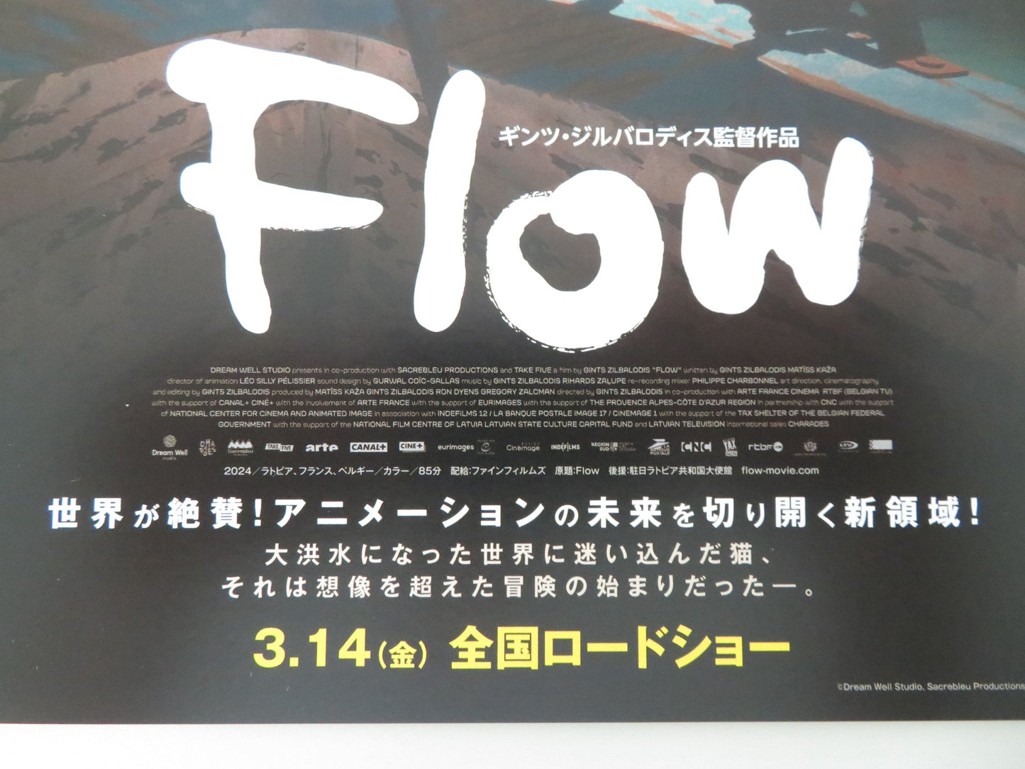 FLOW - B JAPANESE CHIRASHI (B5) POSTER GINTS ZILBALODIS MATISS KAZA 2024 Movie posters
