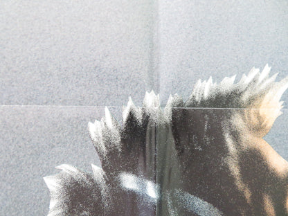 FOOTLOOSE FOLDED US ONE SHEET POSTER KEVIN BACON LORI SINGER 1984 Movie posters