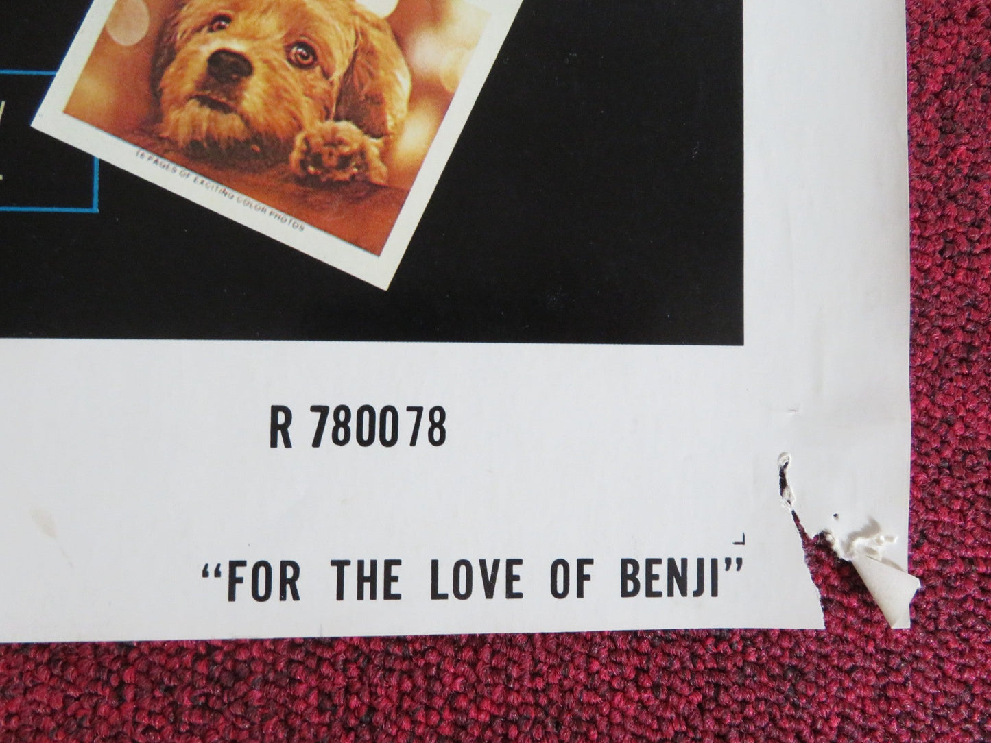 FOR THE LOVE OF BENJI - B FOLDED US ONE SHEET POSTER PATSY GARRETT 1978 Rendezvous Cinema Movie posters