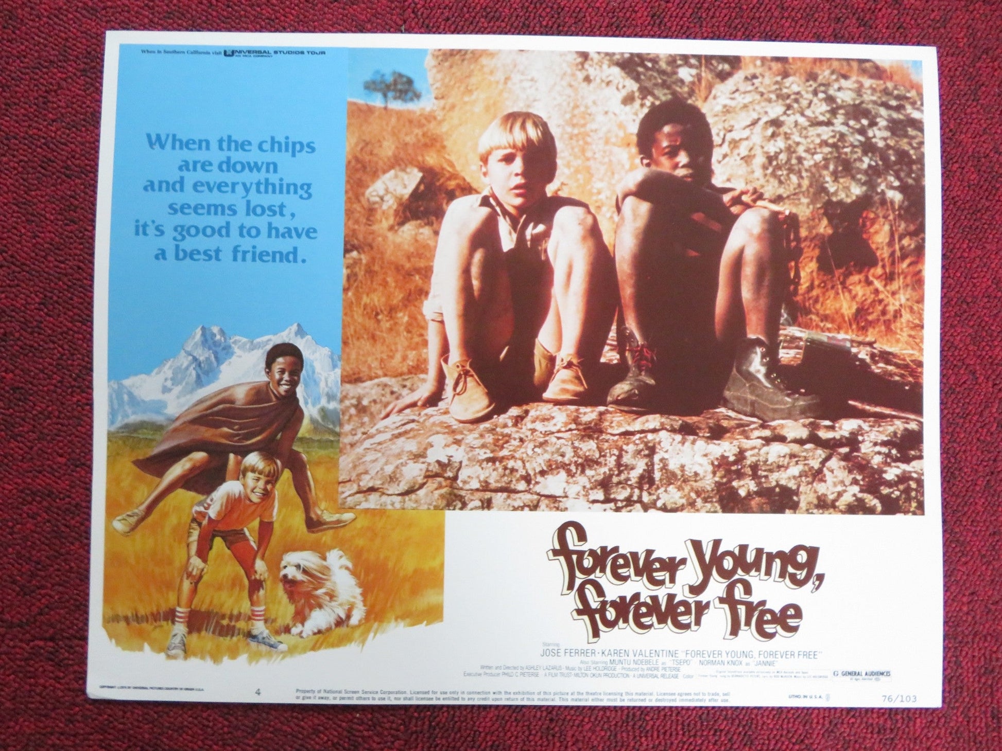 FOREVER YOUNG, FOREVER FREE US LOBBY CARD FULL SET JOSE FERRER 1976 Rendezvous Cinema Movie posters