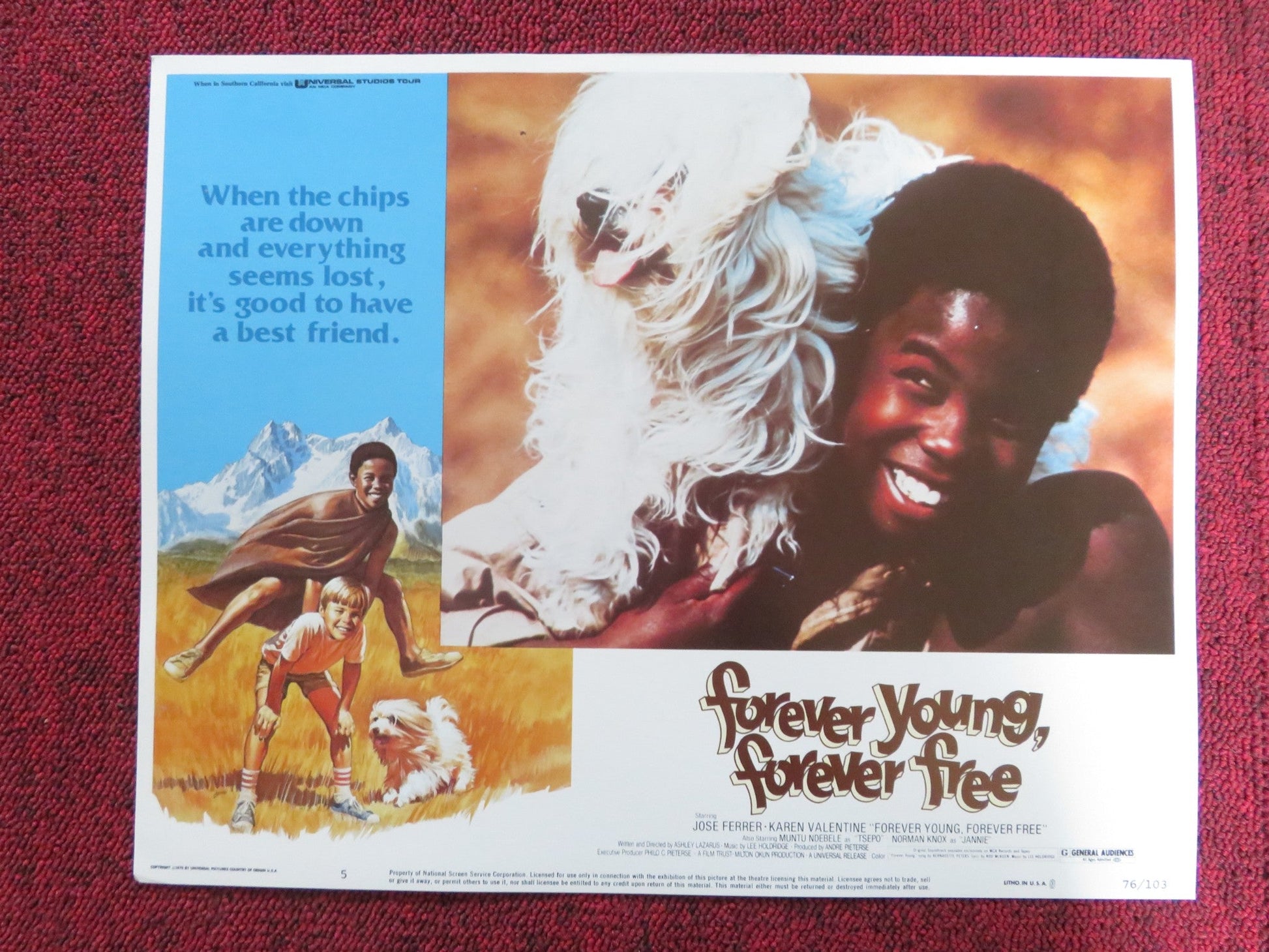 FOREVER YOUNG, FOREVER FREE US LOBBY CARD FULL SET JOSE FERRER 1976 Rendezvous Cinema Movie posters