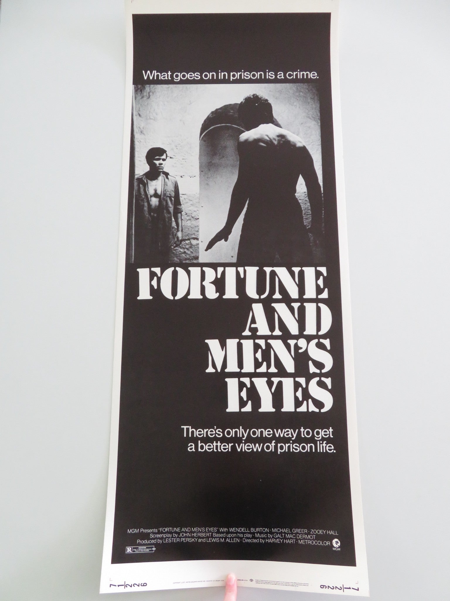 Fortune and Men's Eyes US Insert Poster Wendell Burton Michael Greer 1971 Movie posters