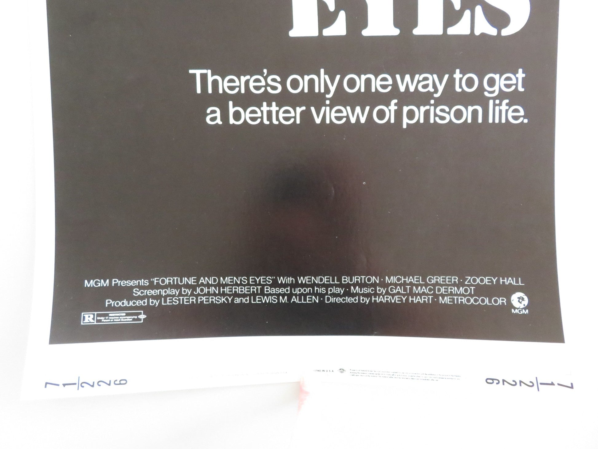 Fortune and Men's Eyes US Insert Poster Wendell Burton Michael Greer 1971 Movie posters