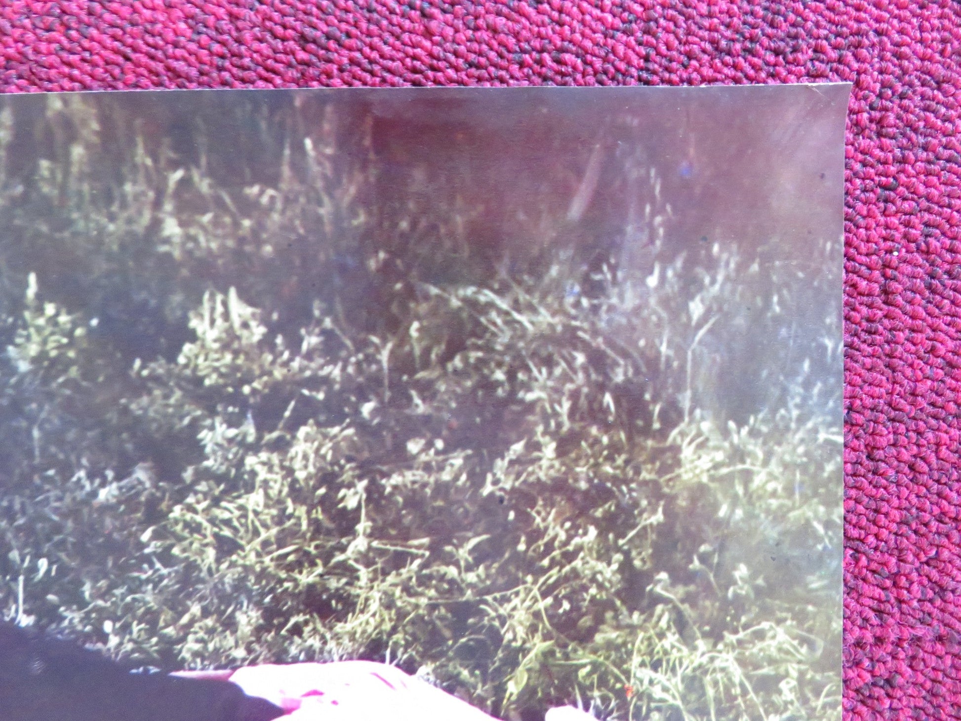 FRANKENSTEIN '80 - C ITALIAN FOTOBUSTA POSTER JOHN RICHARDSON XIRO PAPAS 1972 Rendezvous Cinema Movie posters