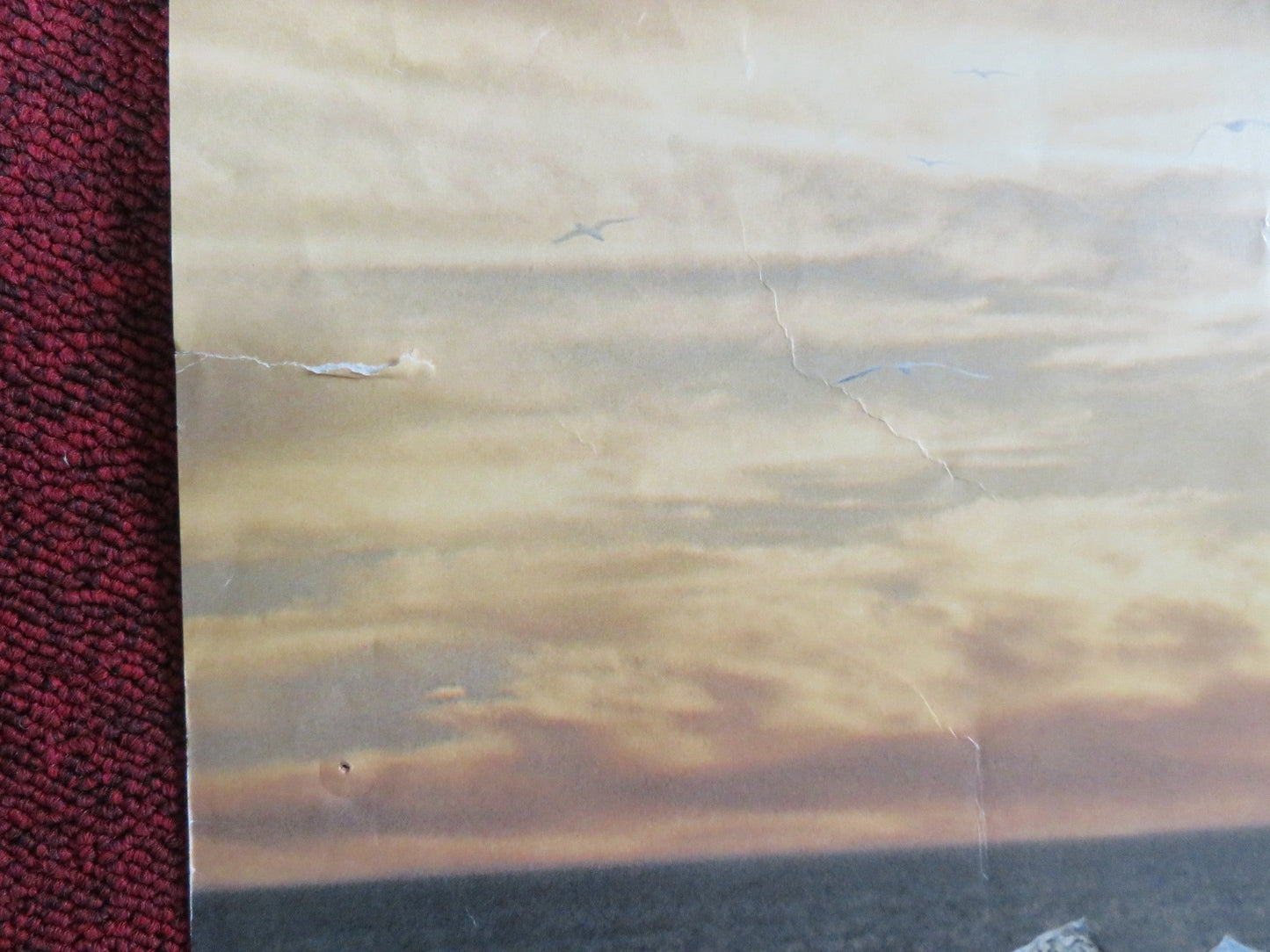 FREE WILLY - B FOLDED US ONE SHEET POSTER JASON JAMES RICHTER 1993 Rendezvous Cinema Movie posters