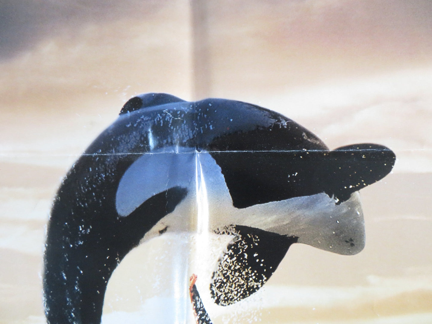 FREE WILLY - B FOLDED US ONE SHEET POSTER JASON JAMES RICHTER 1993 Rendezvous Cinema Movie posters