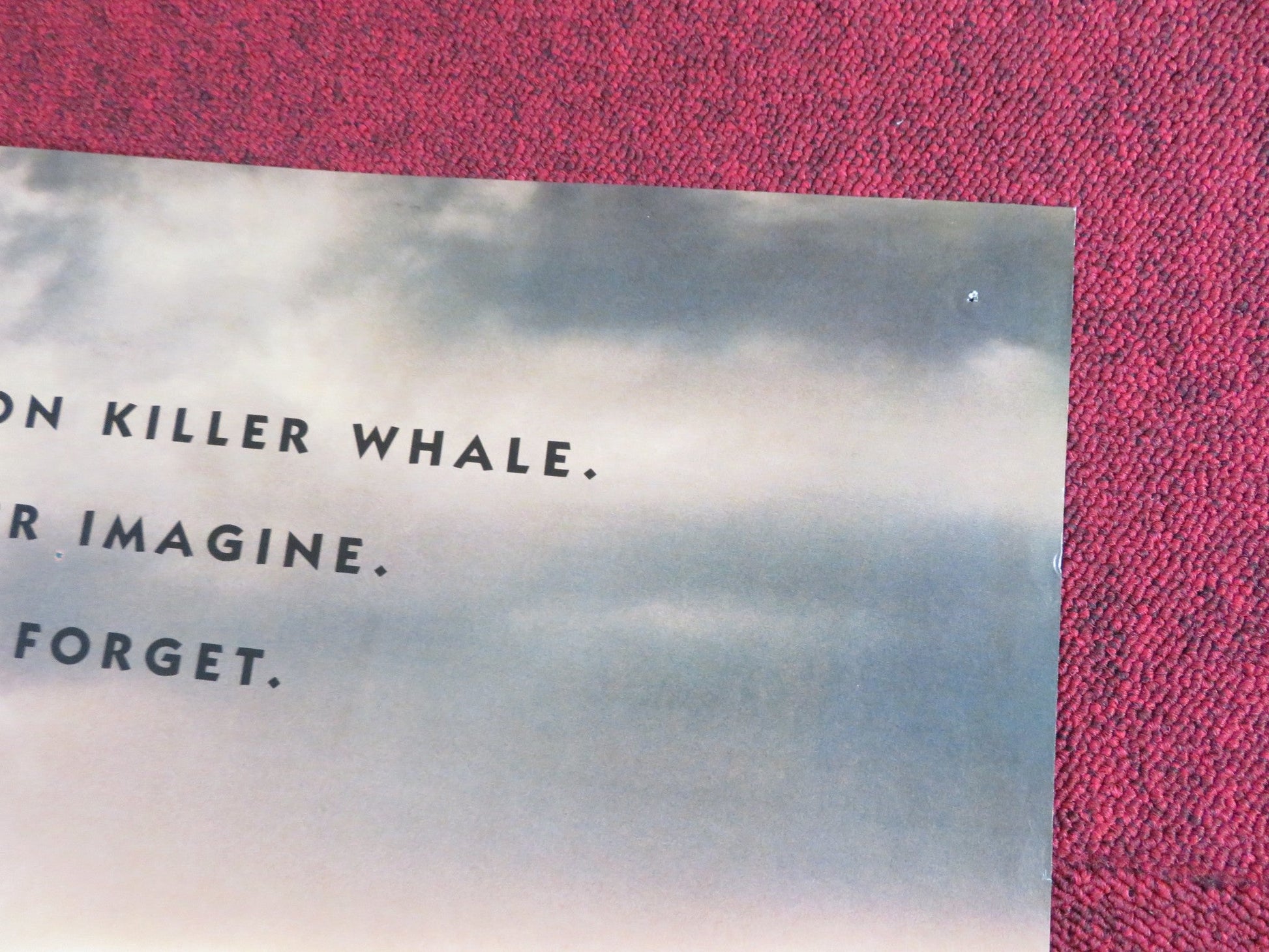 FREE WILLY - B FOLDED US ONE SHEET POSTER JASON JAMES RICHTER 1993 Rendezvous Cinema Movie posters